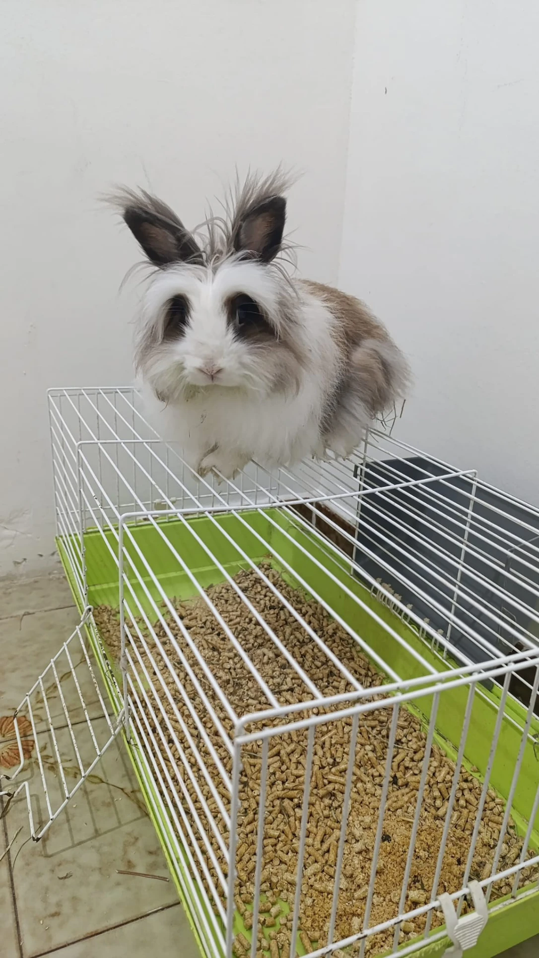 image-10