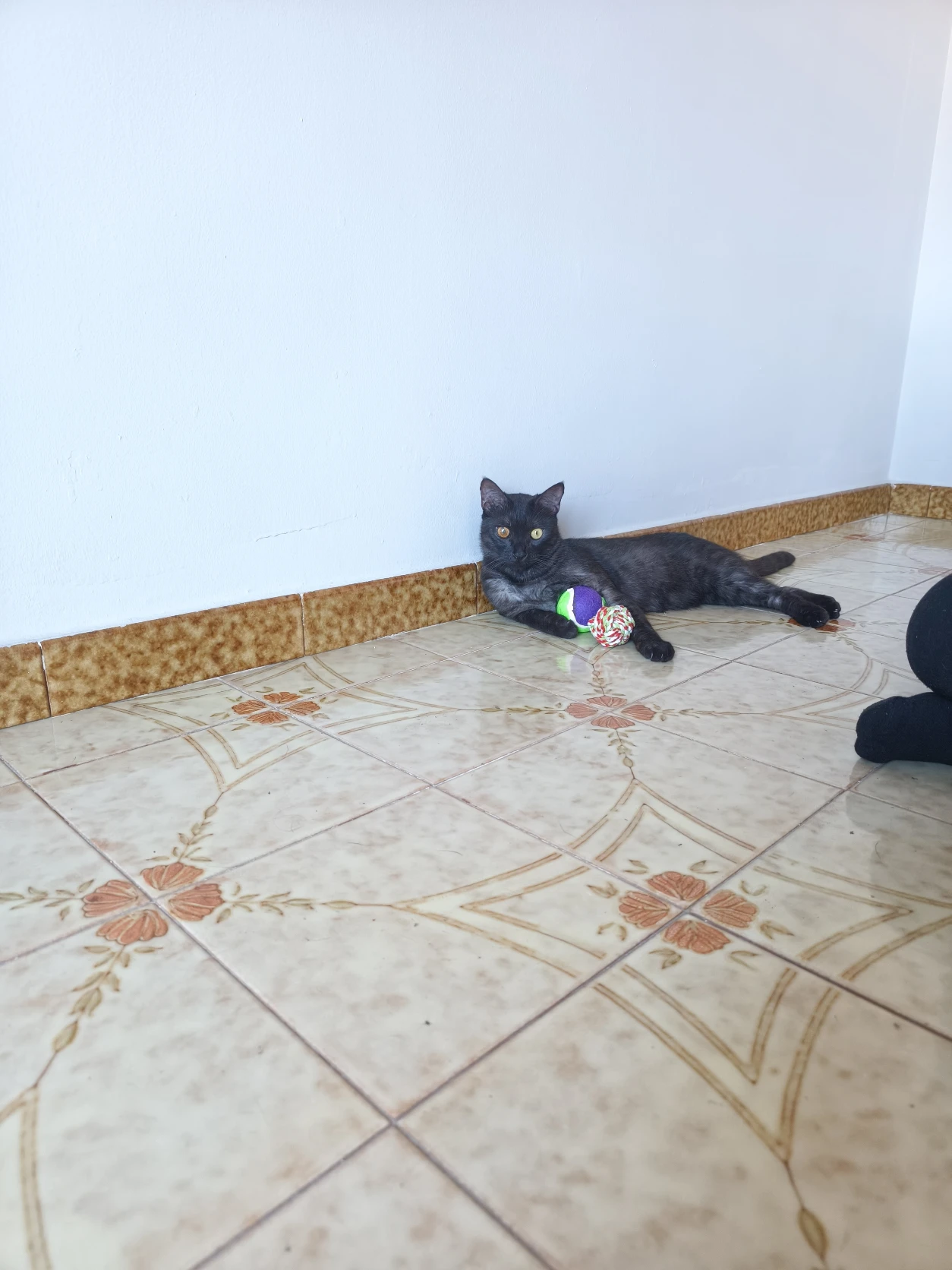 image-28