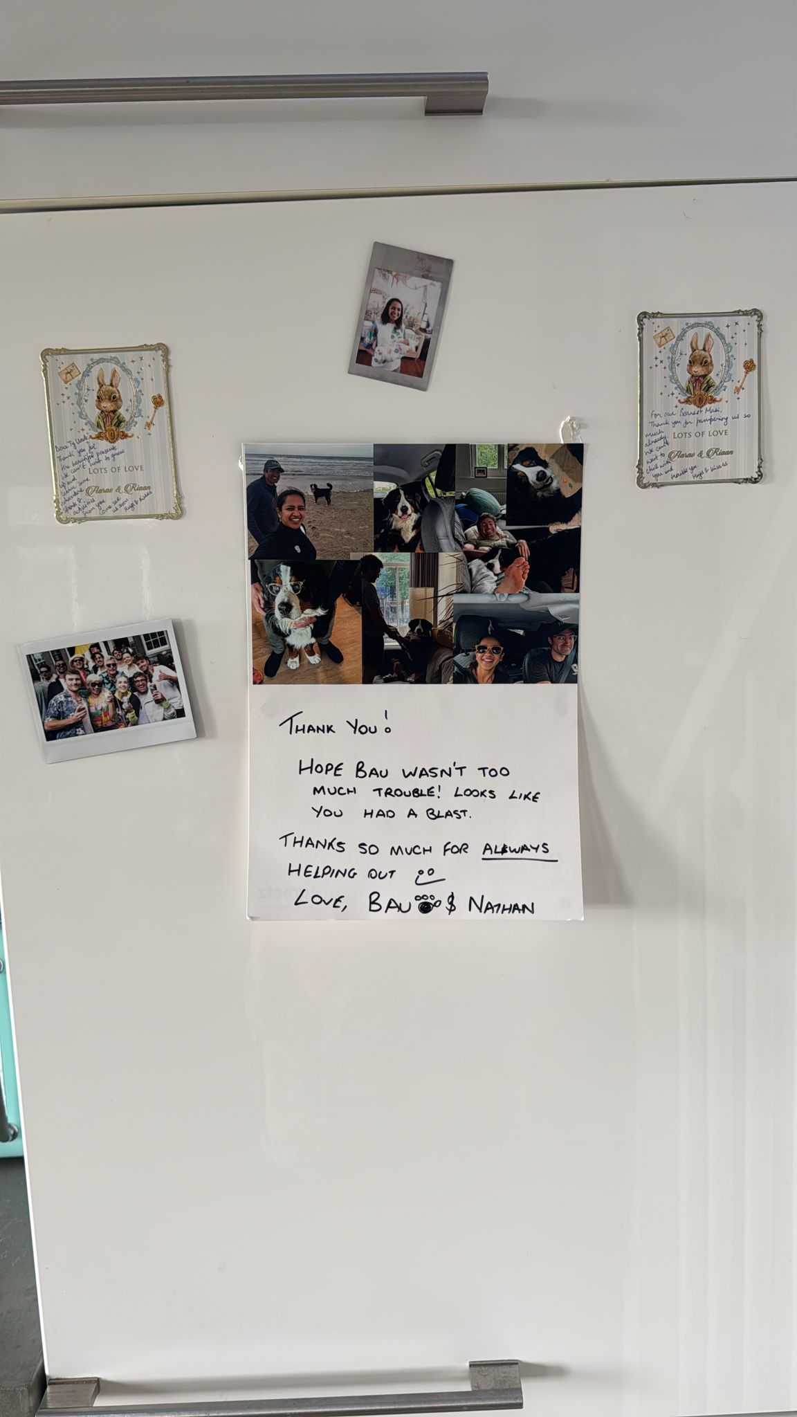 image-17