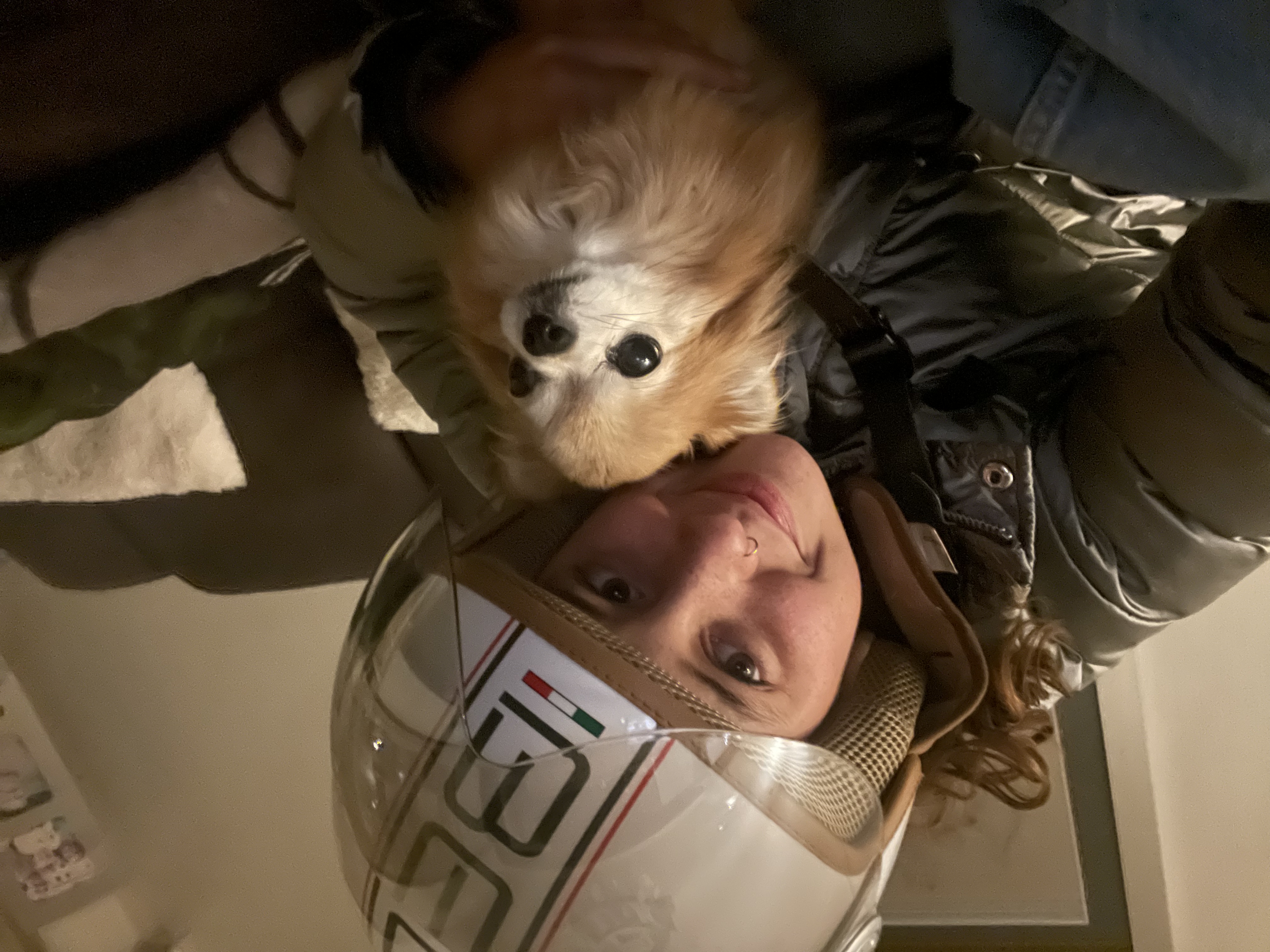 image-2