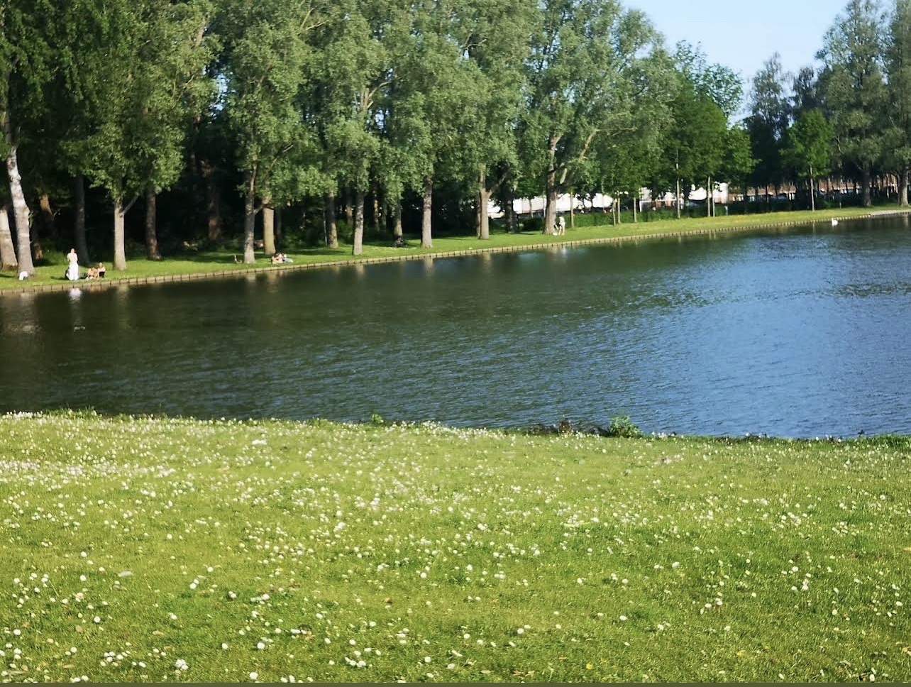image-14