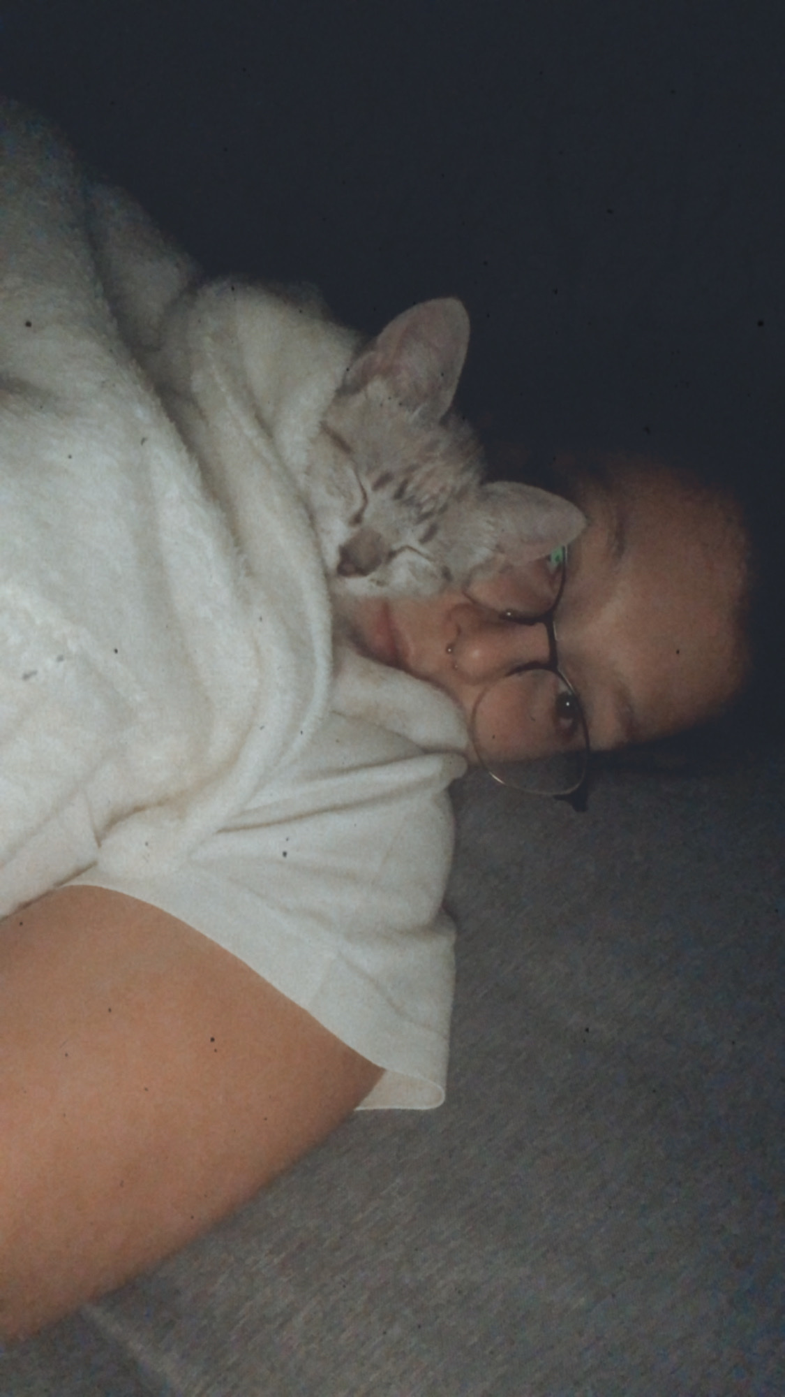 image-7