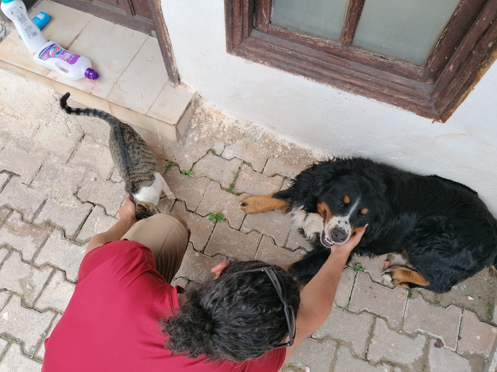 image-8