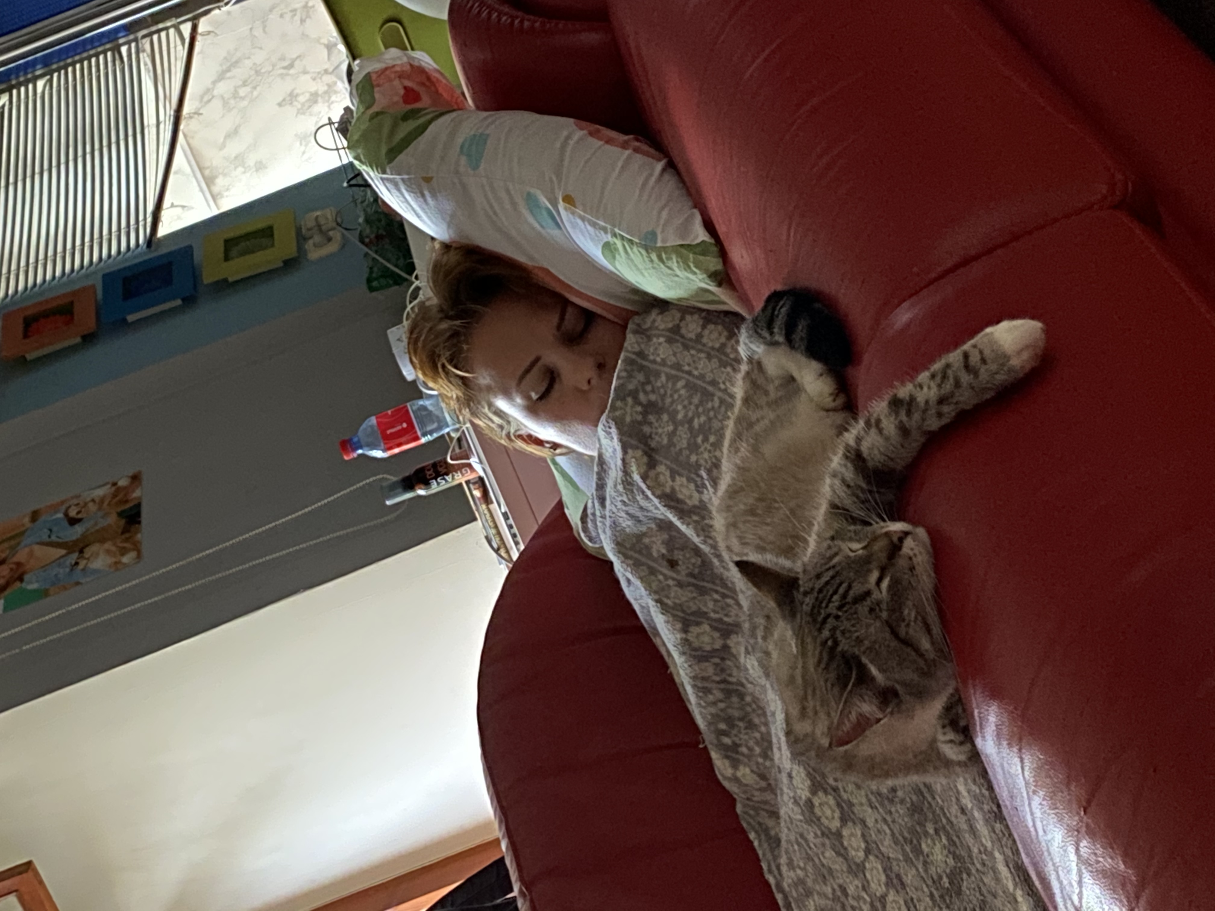 image-10