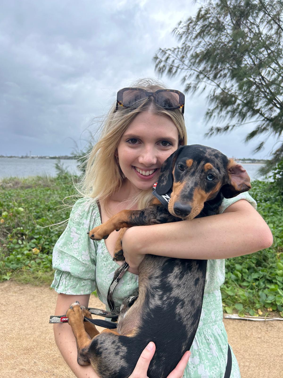 image-2