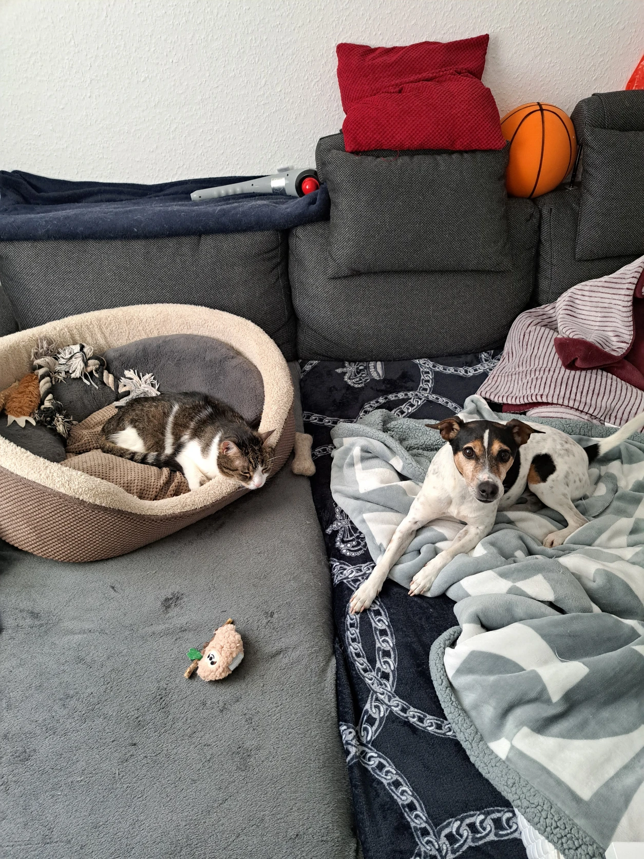 image-17