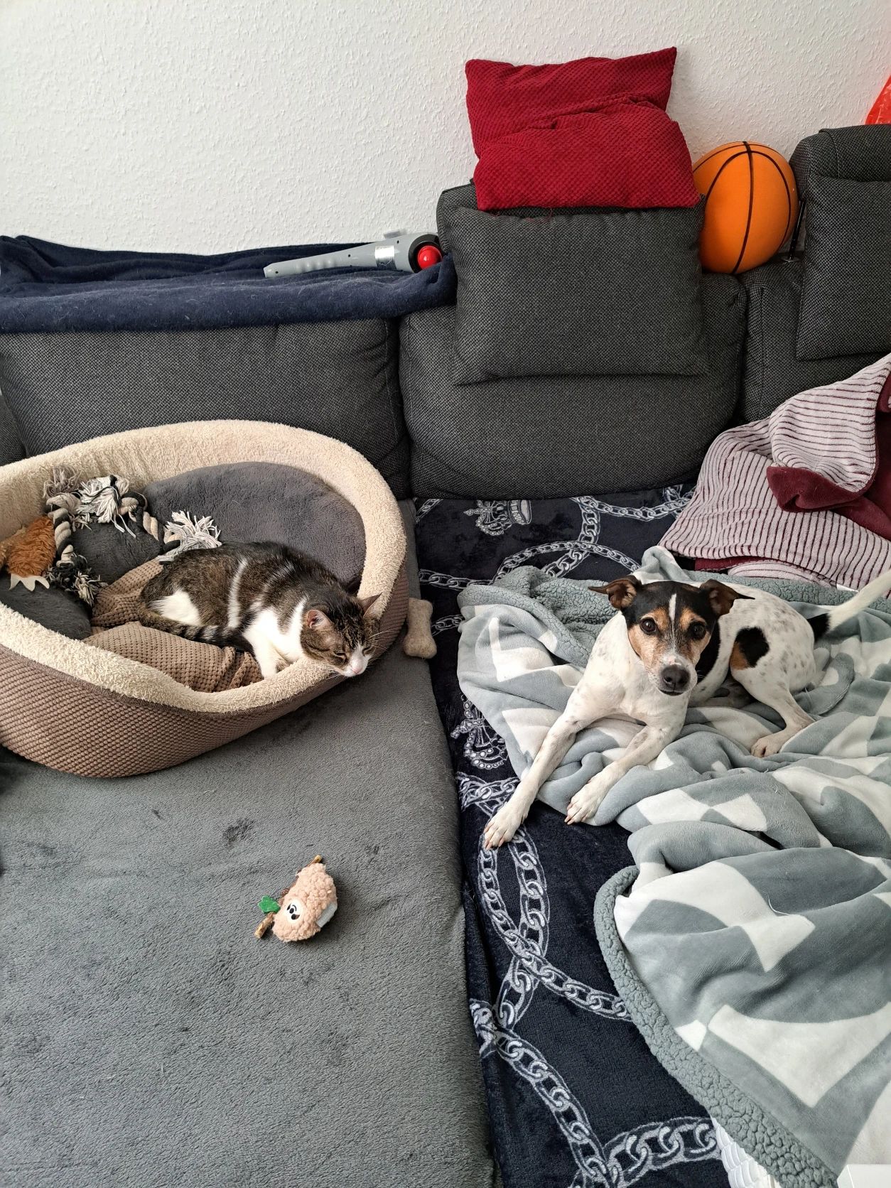 image-17