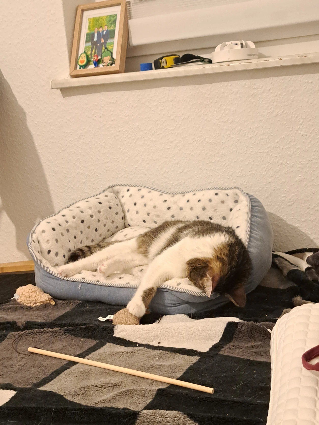 image-20