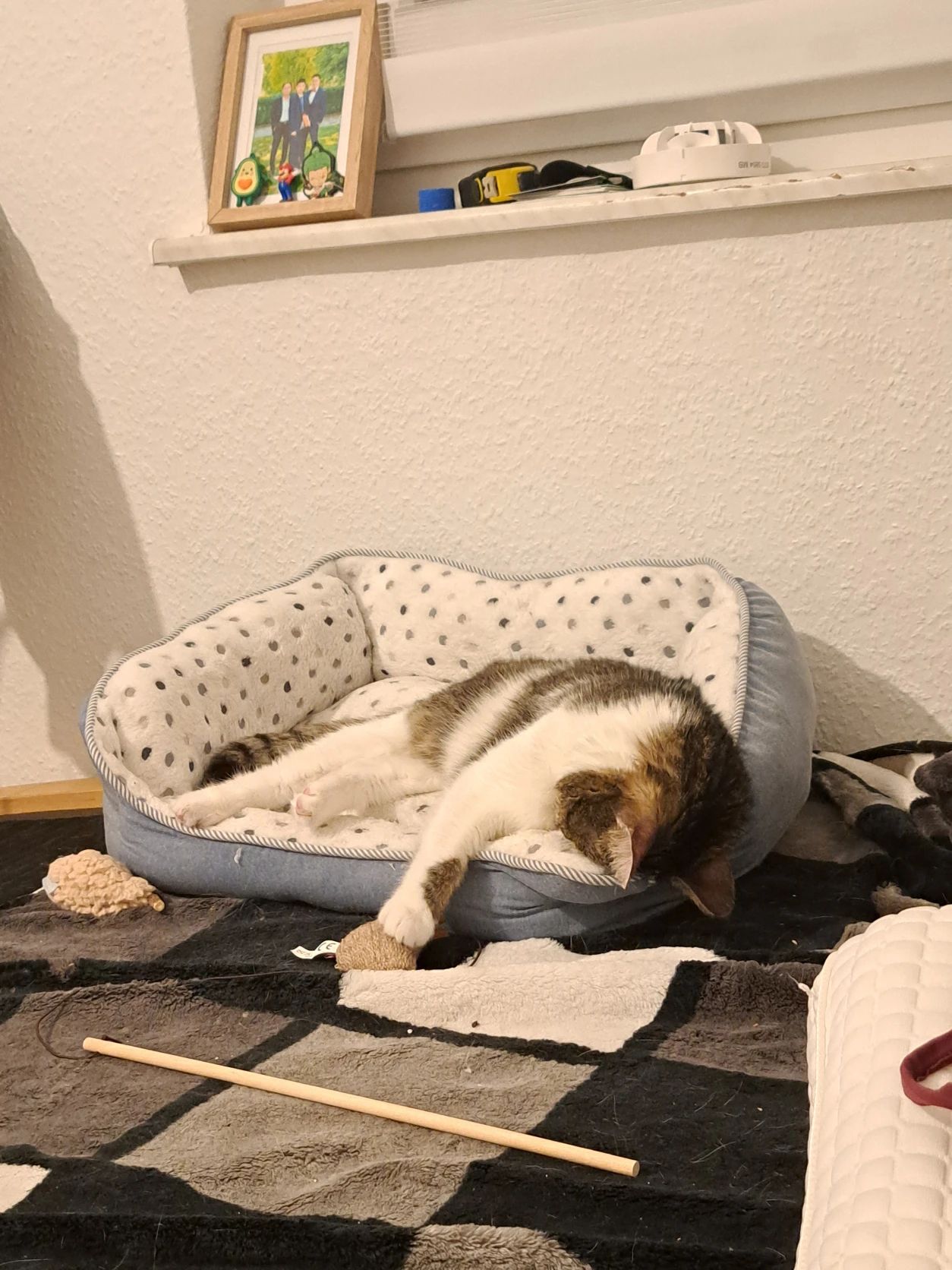 image-20
