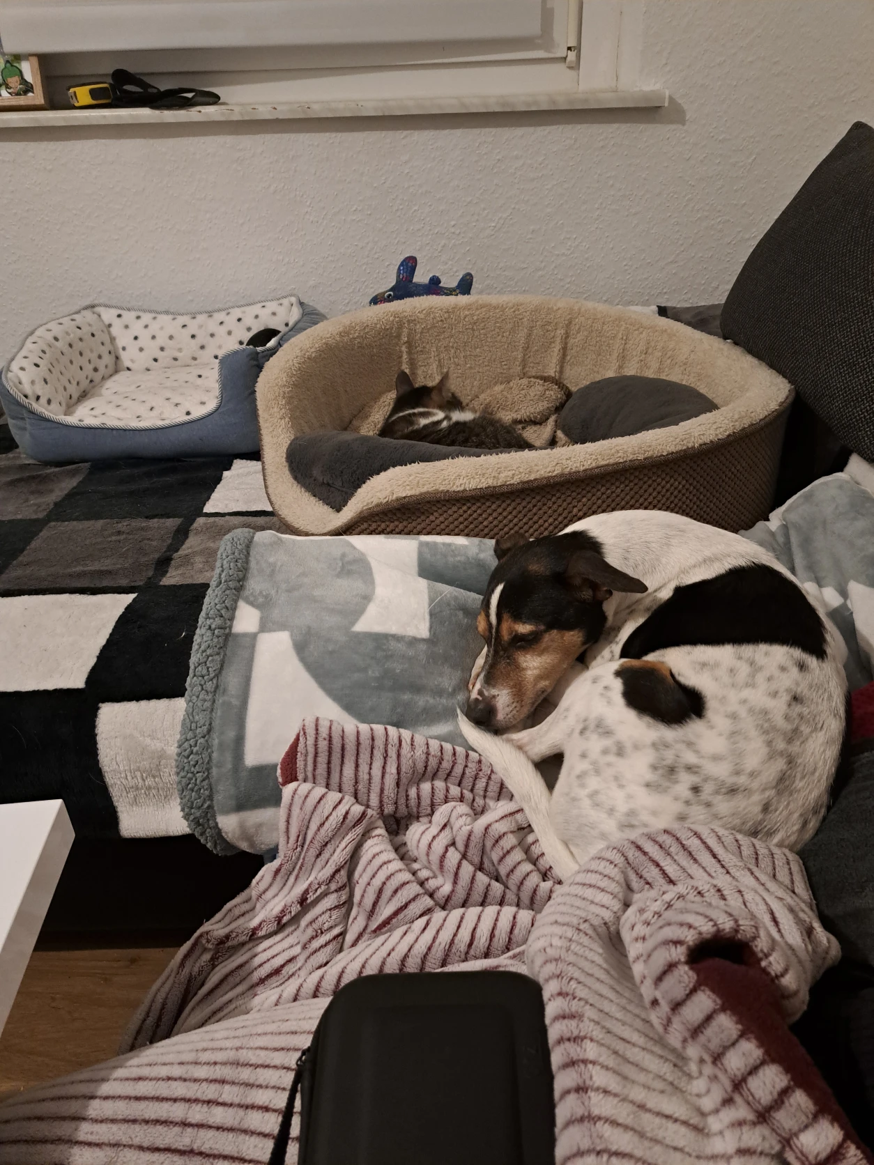 image-21