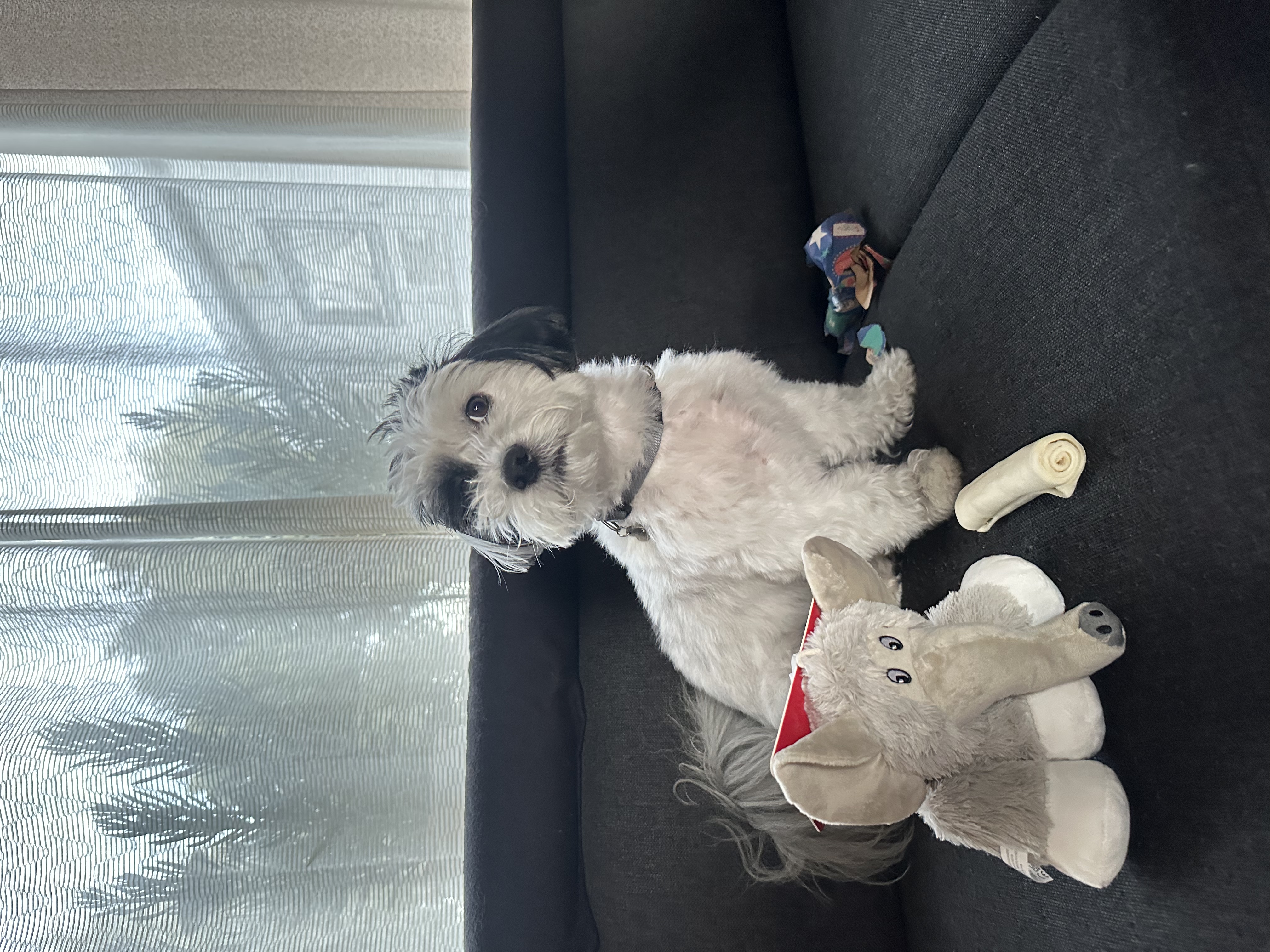image-5