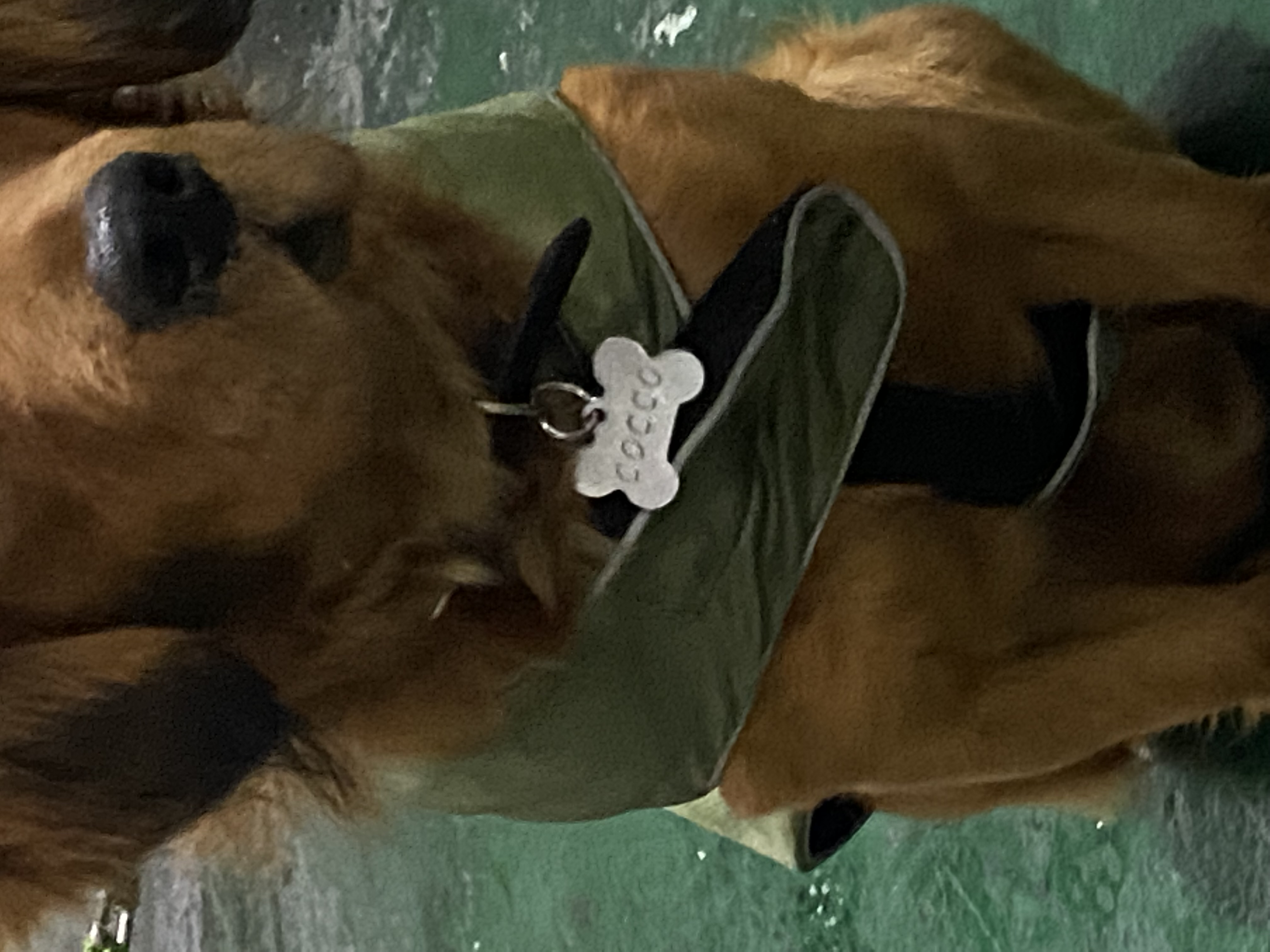 image-6