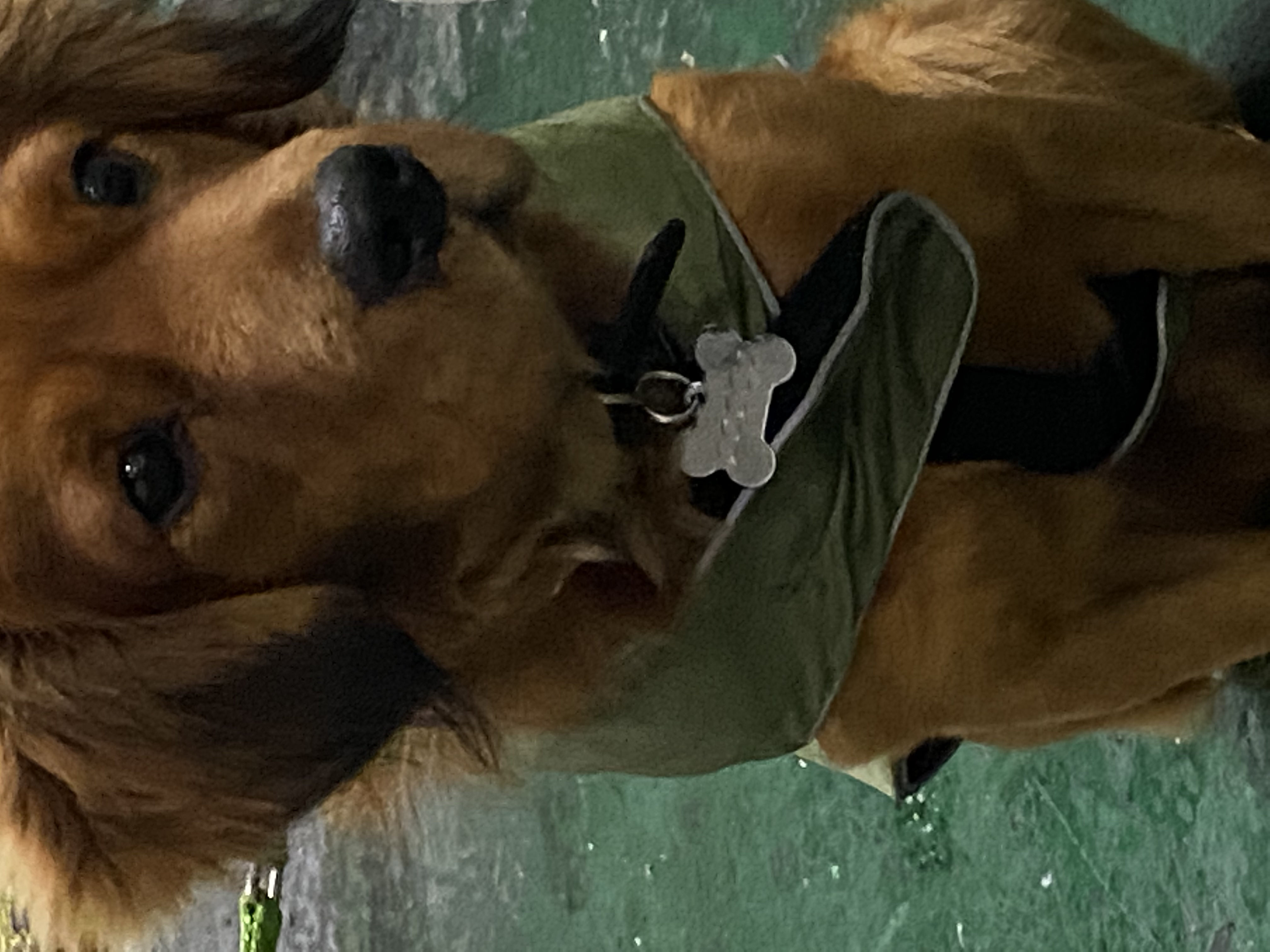 image-15