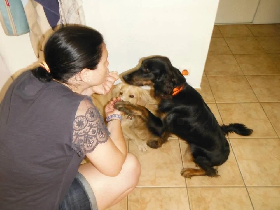 image-4