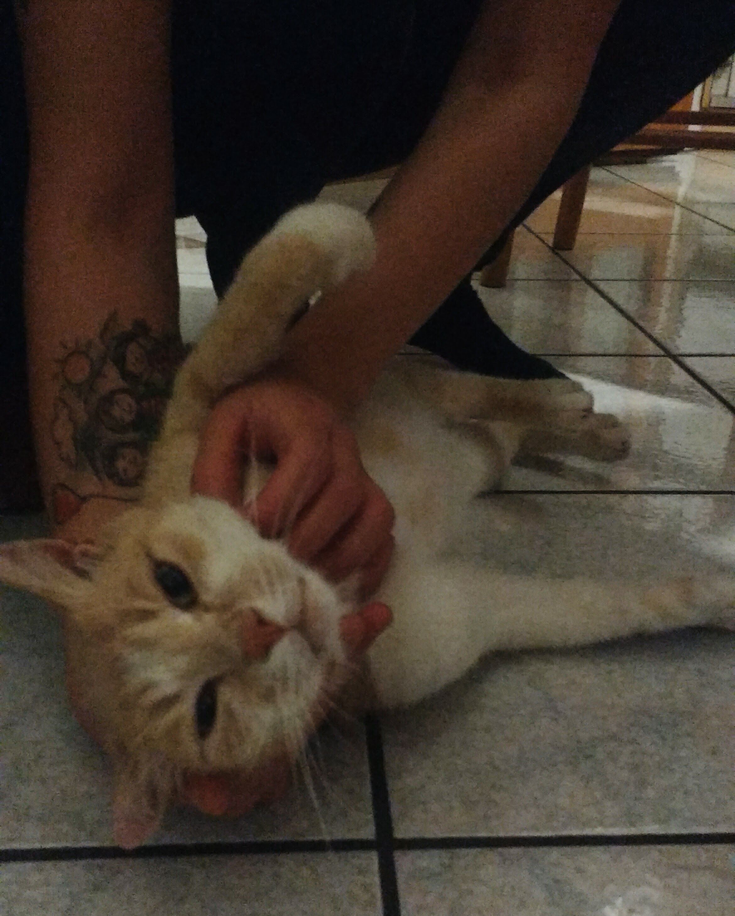 image-7
