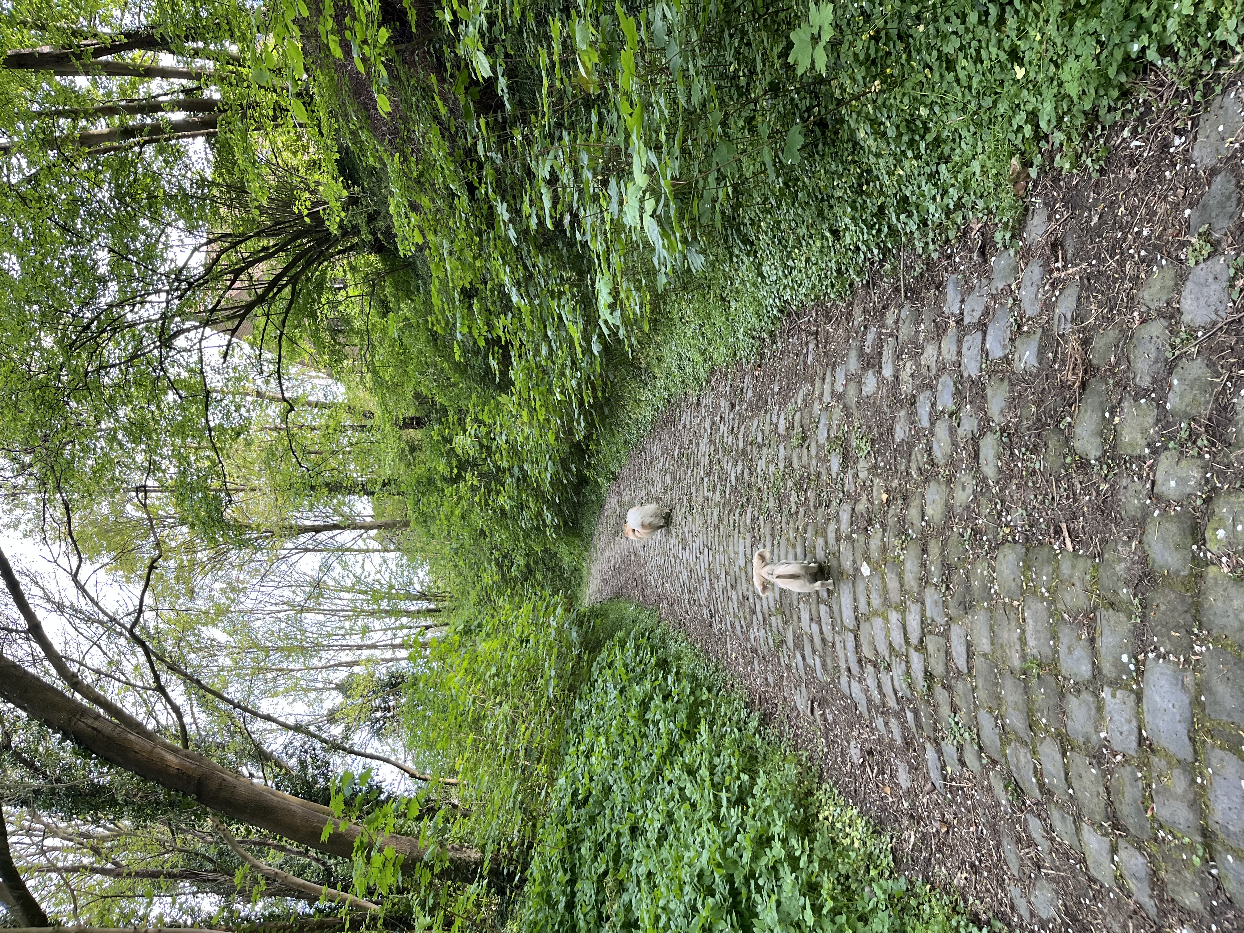 image-15