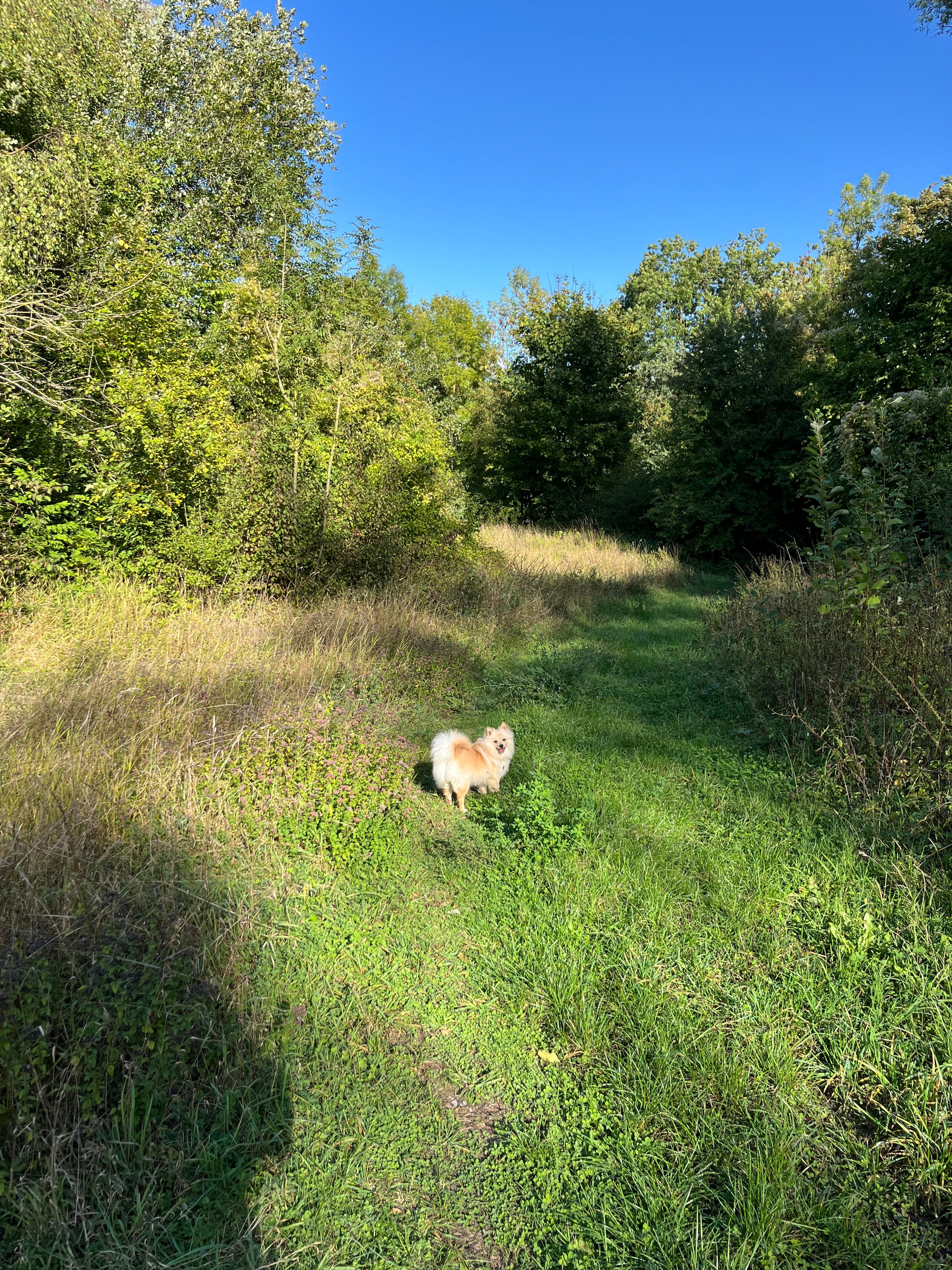 image-17