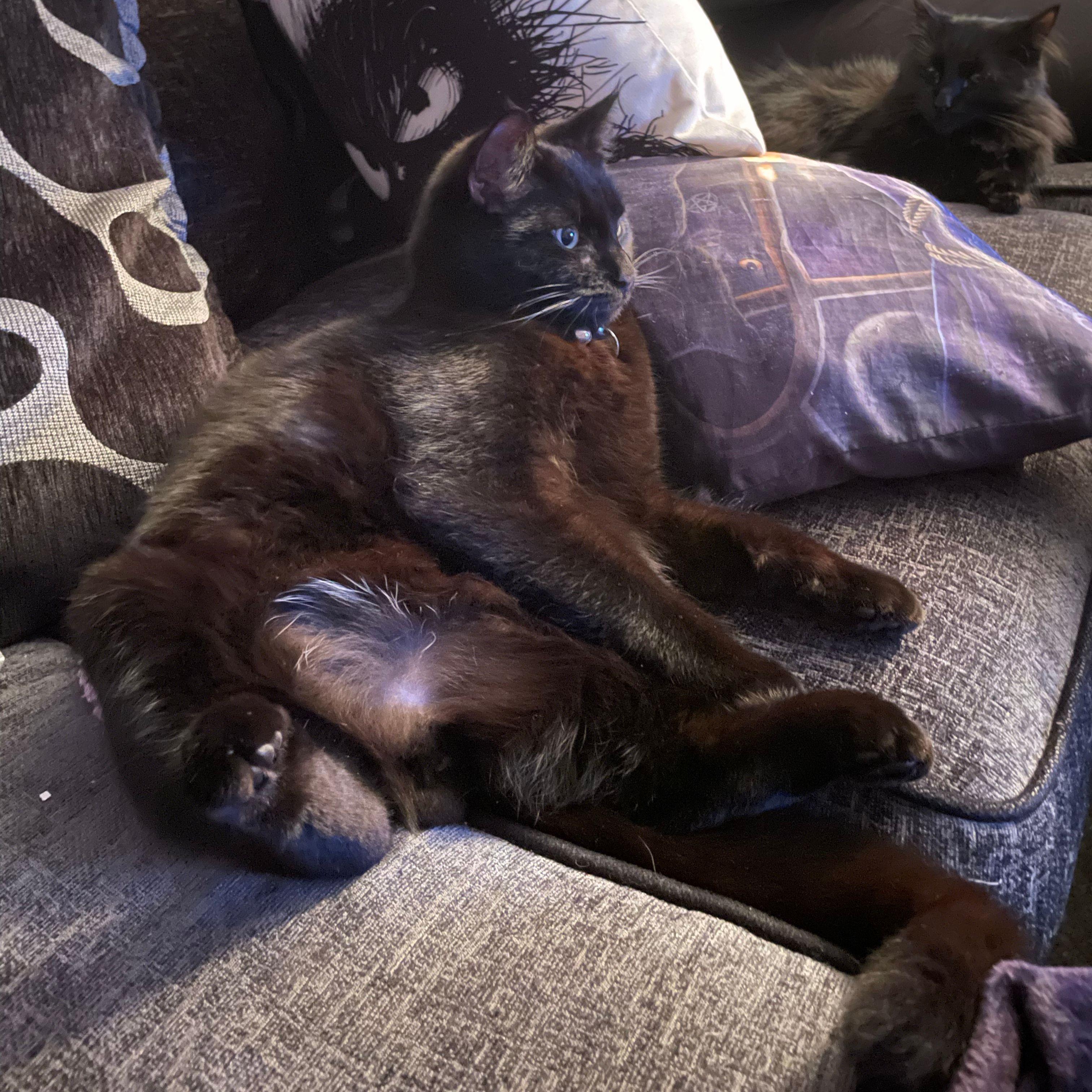 Loki