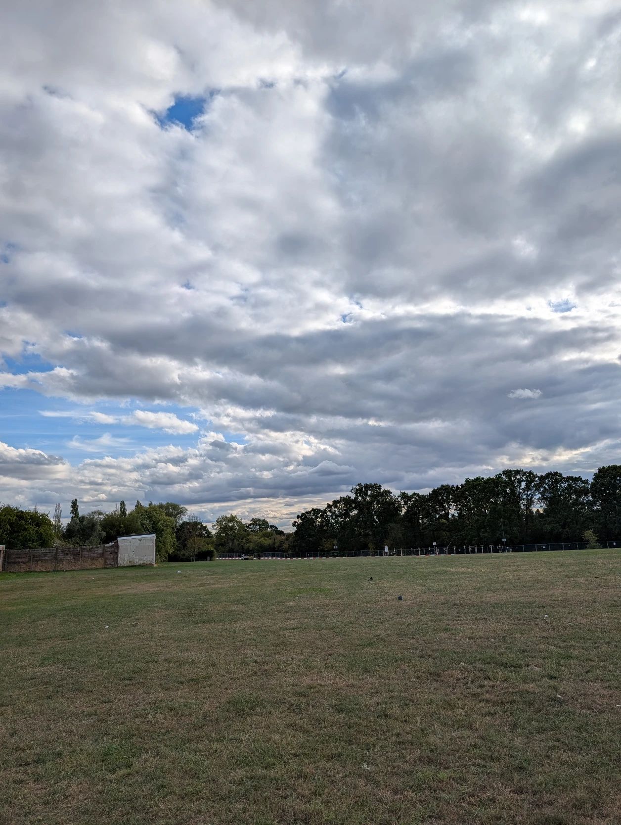 image-29
