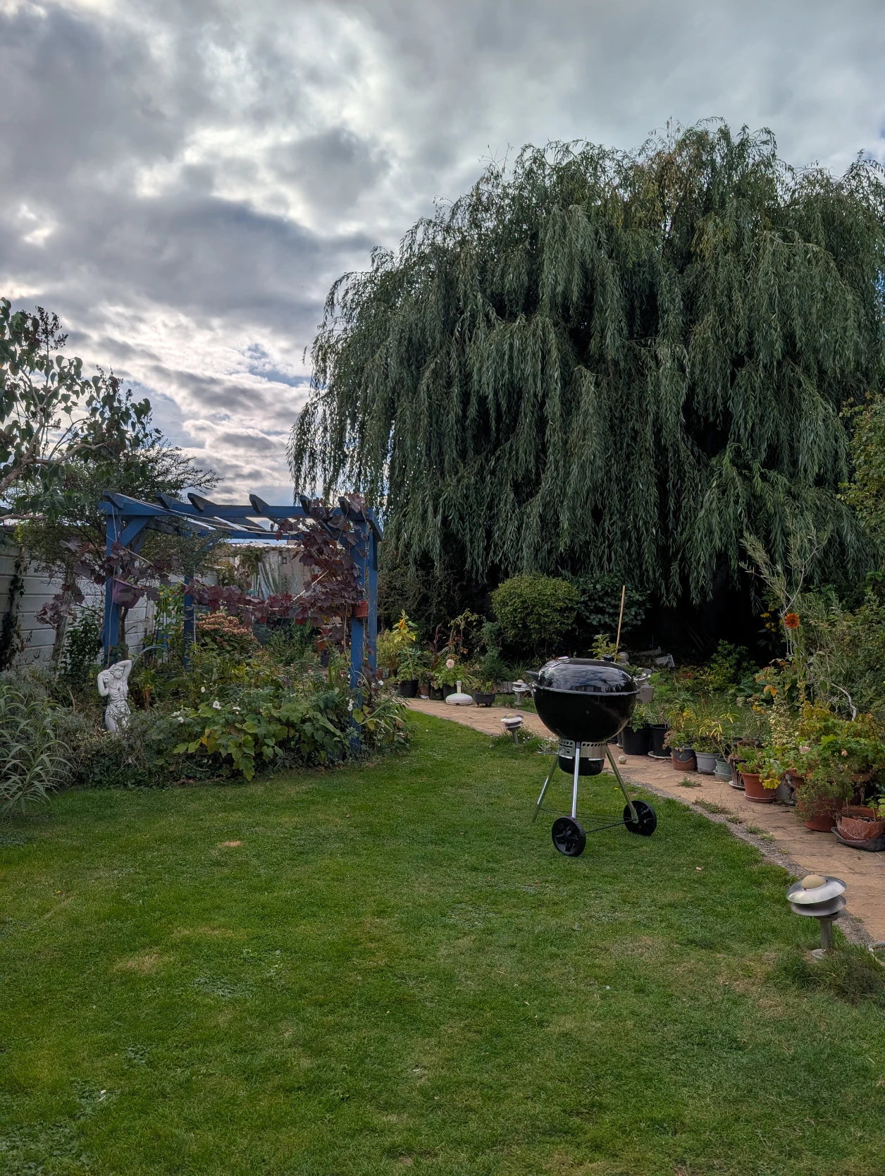image-21