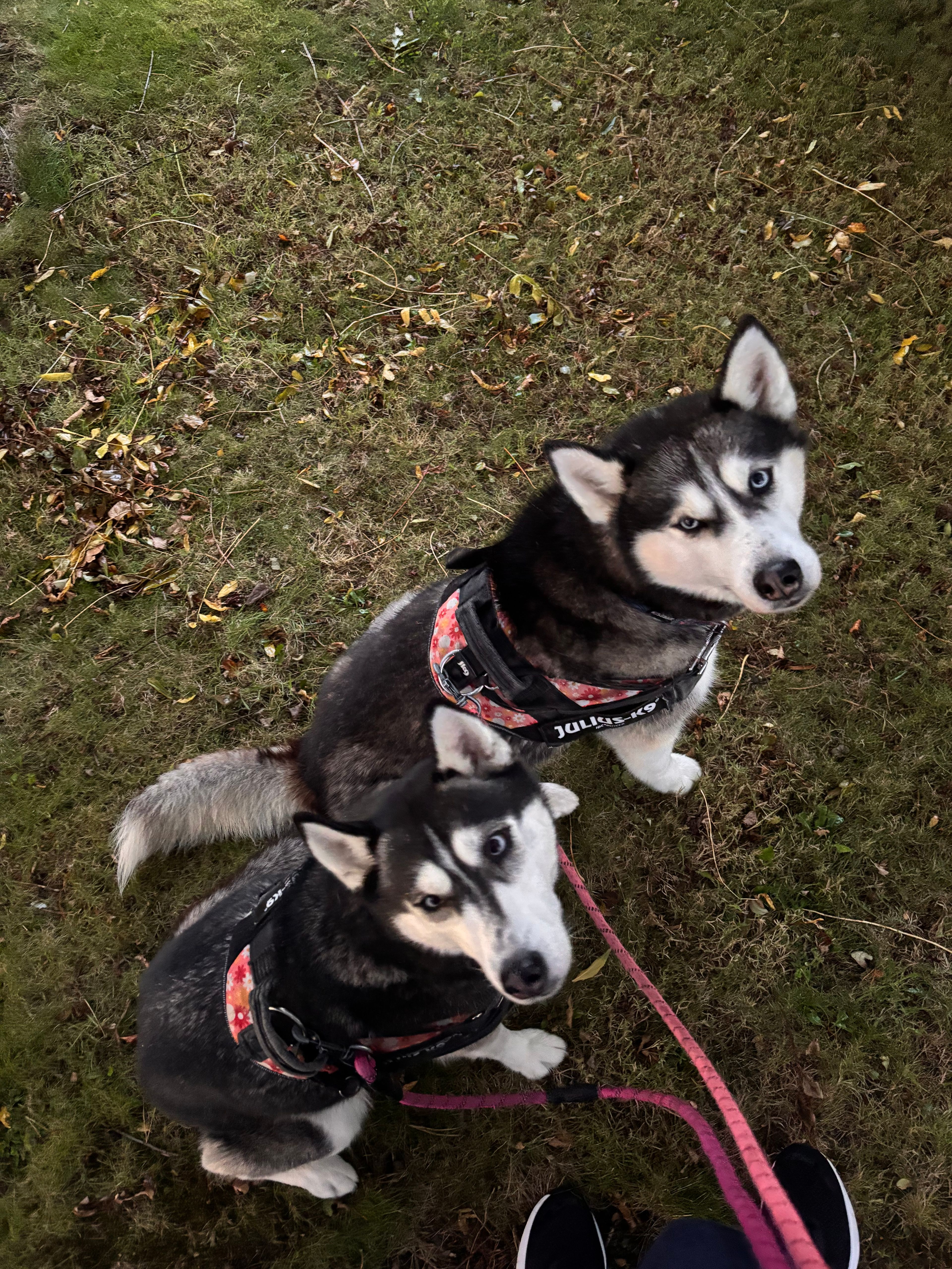 image-9