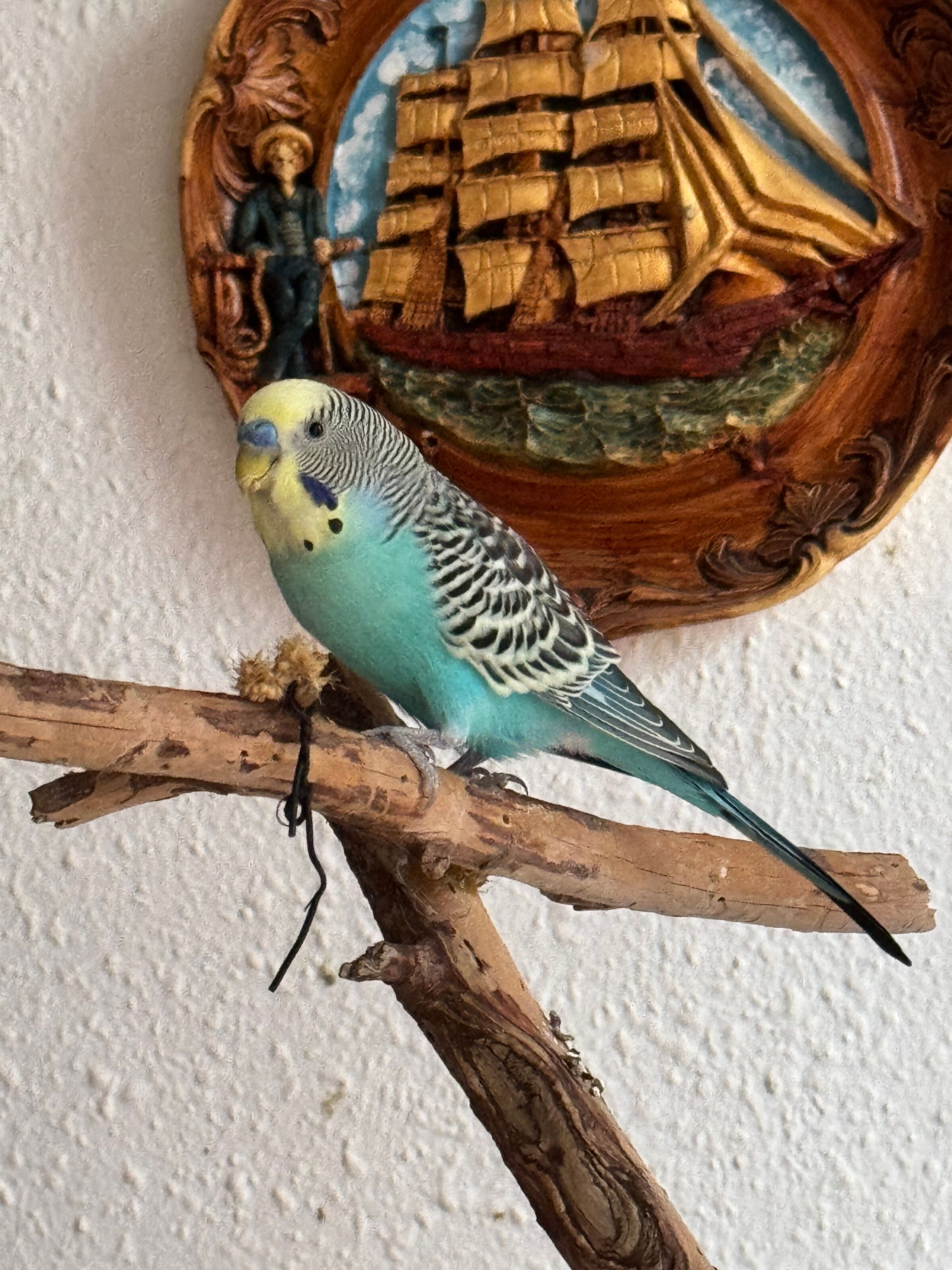 image-5