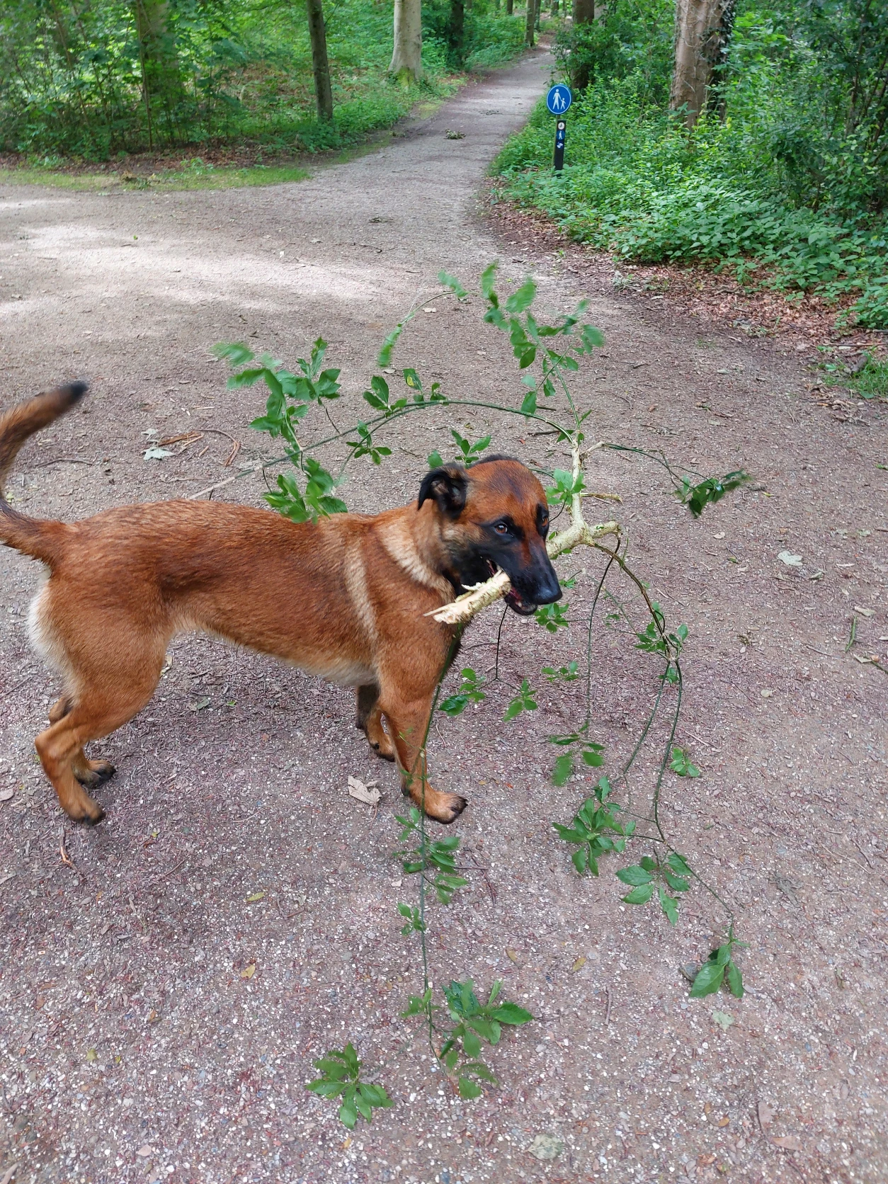 image-8