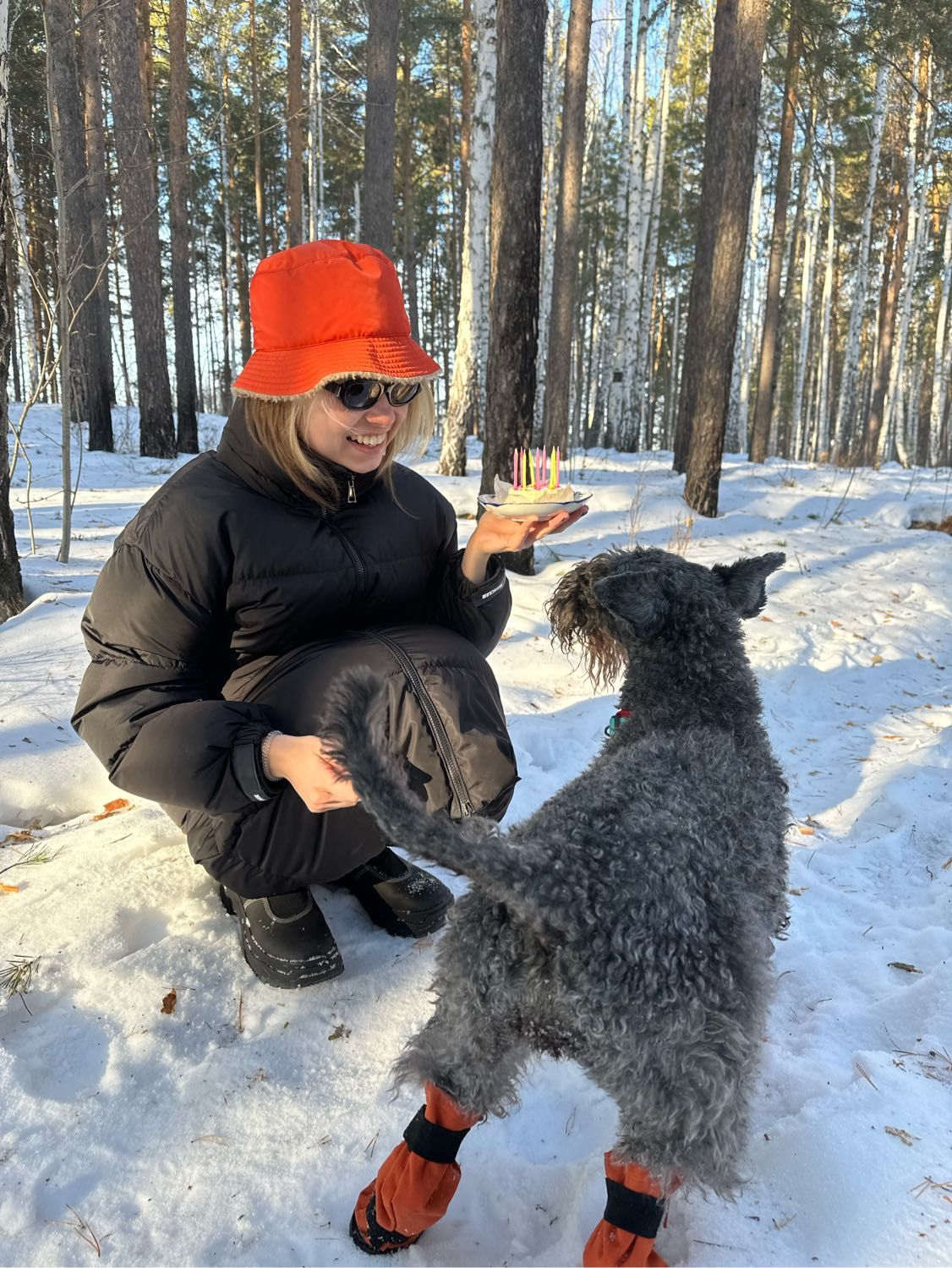 image-8