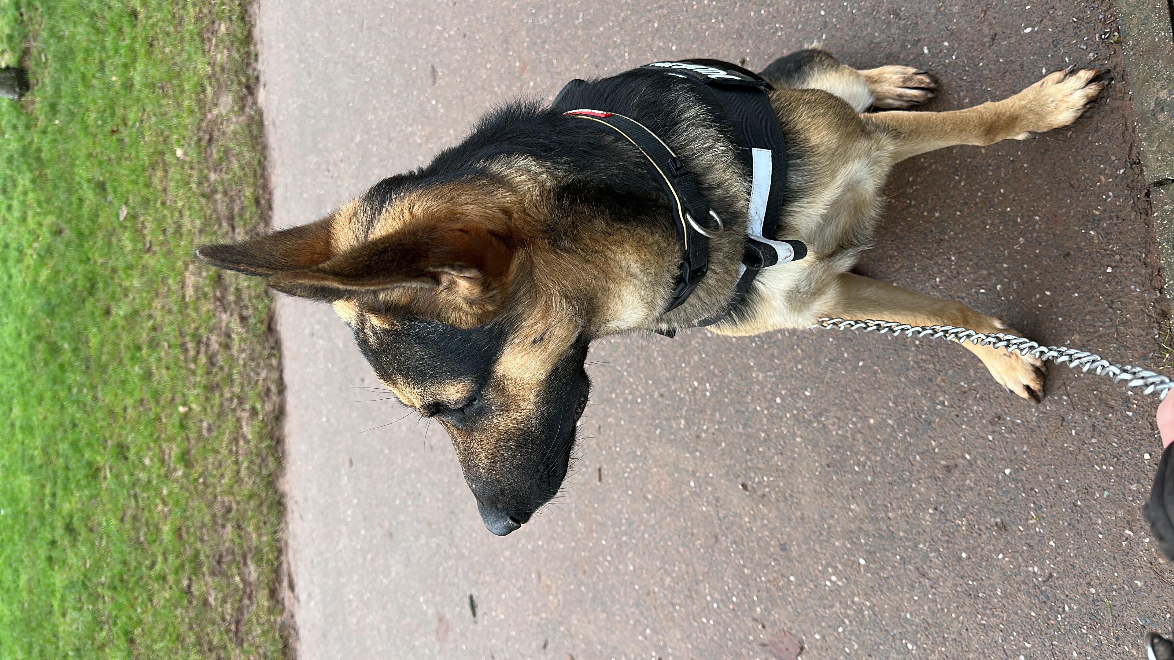 image-7