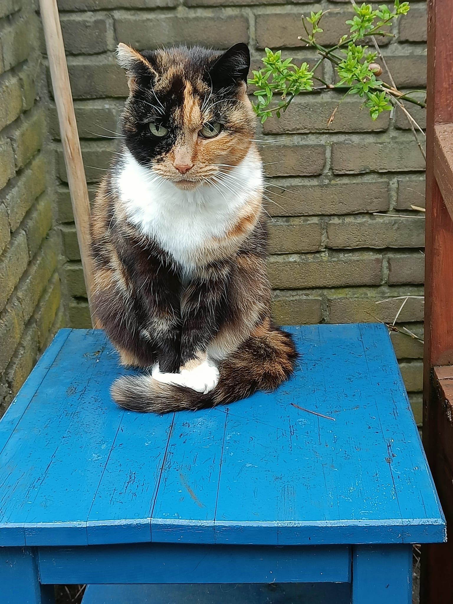 image-6