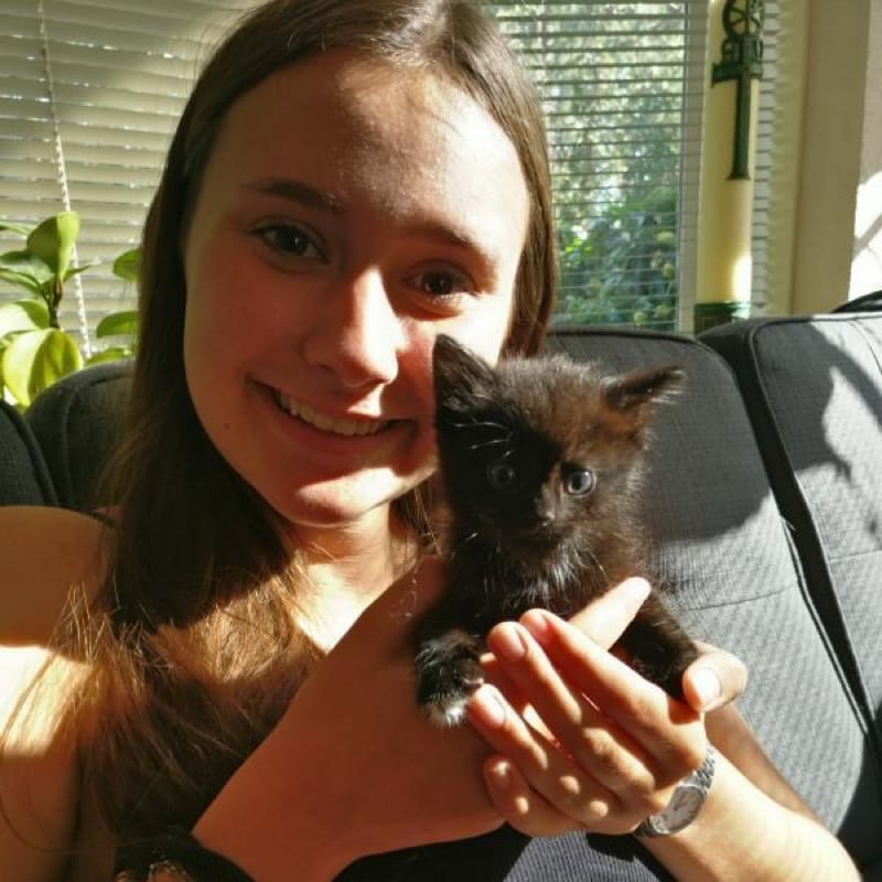 Solveig