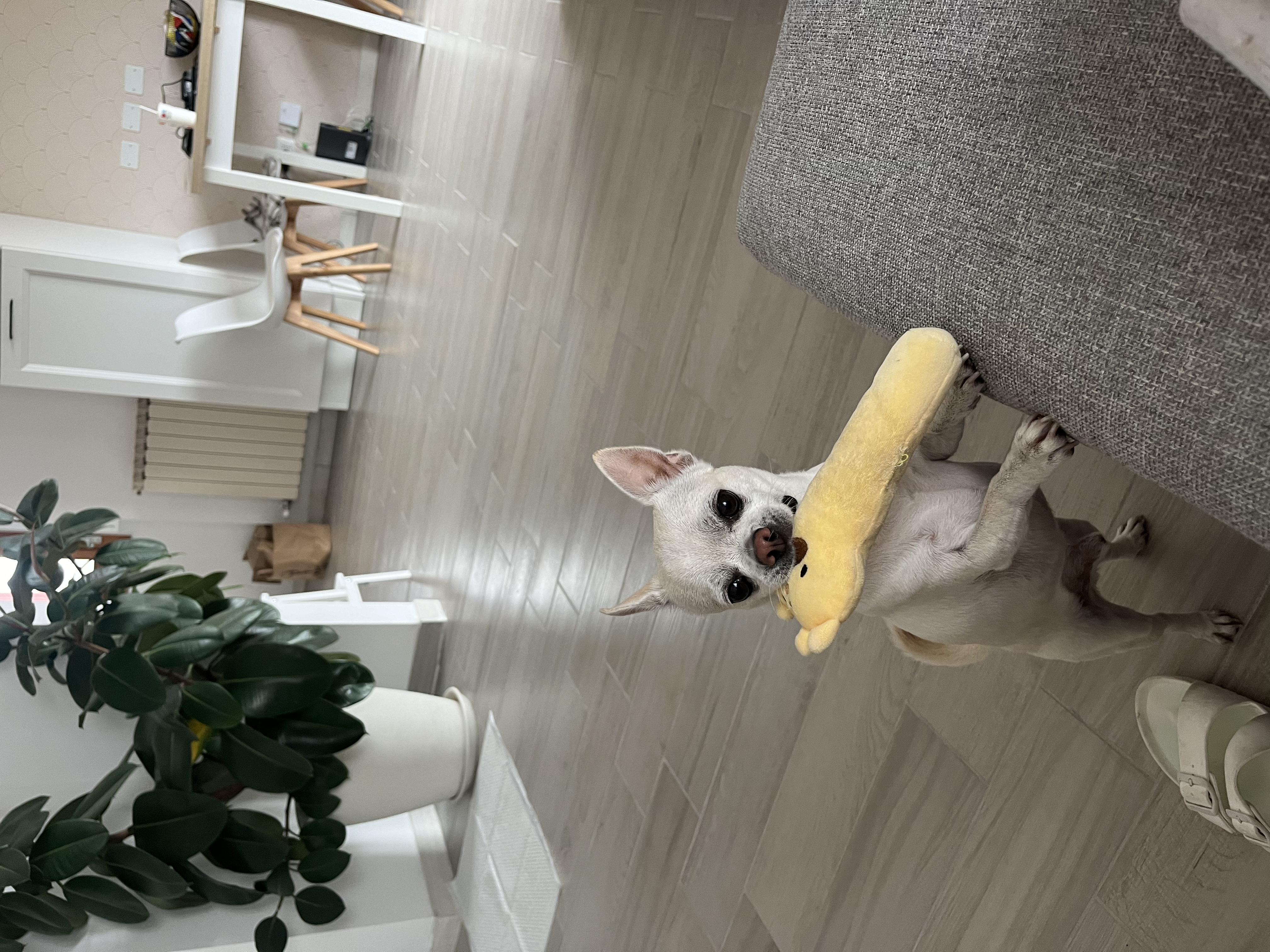 image-8