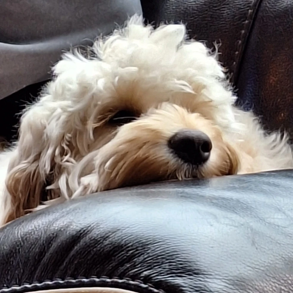 Millie