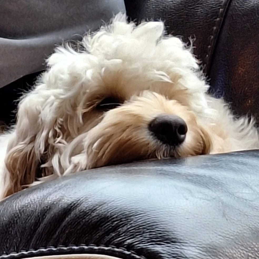 Millie