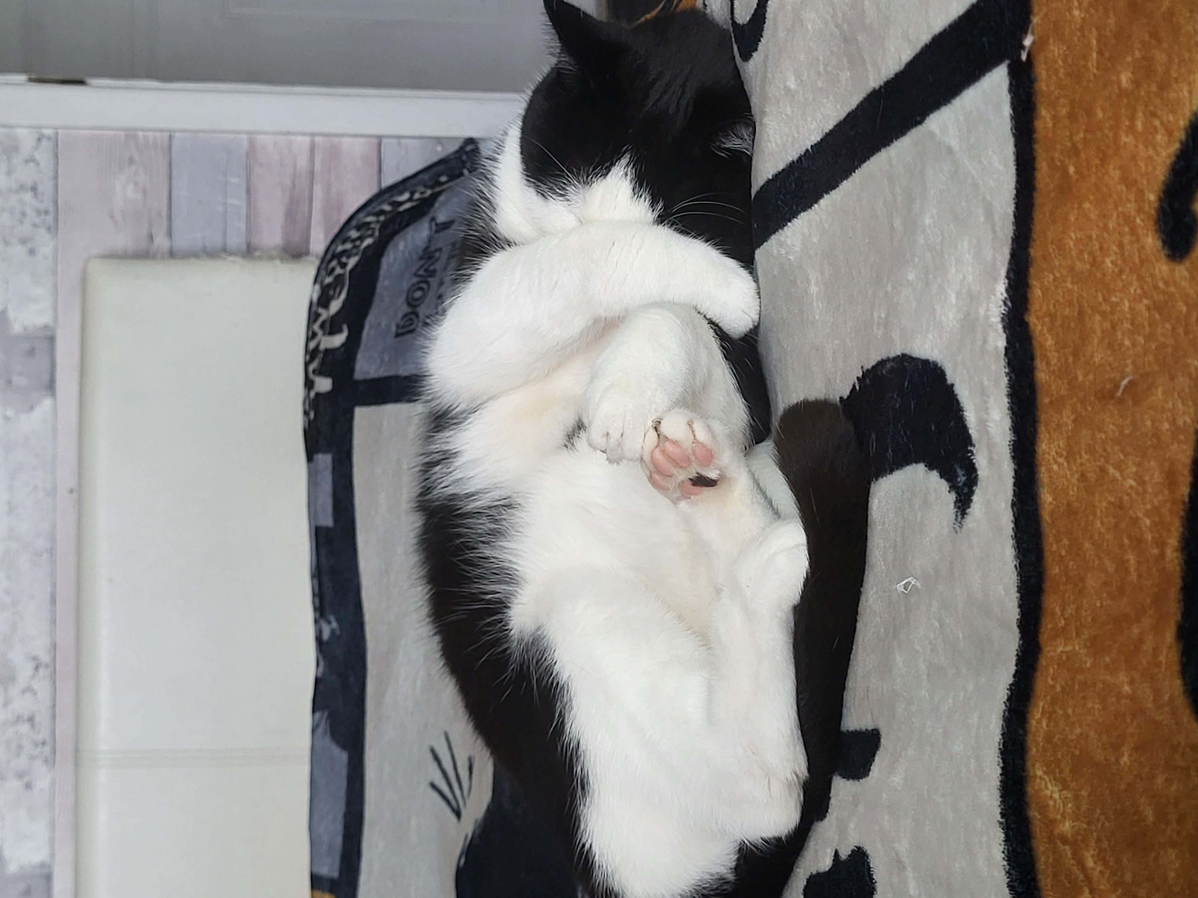image-6