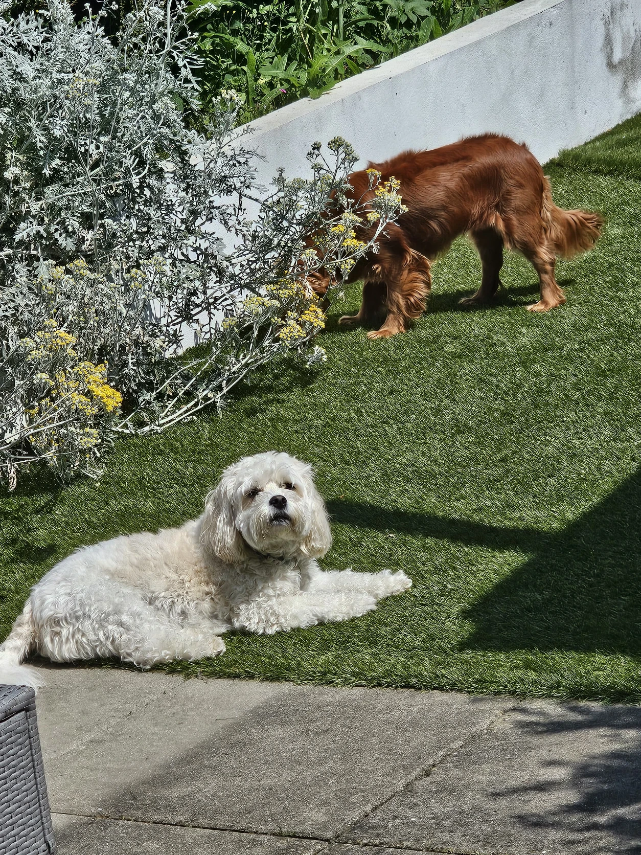 image-5
