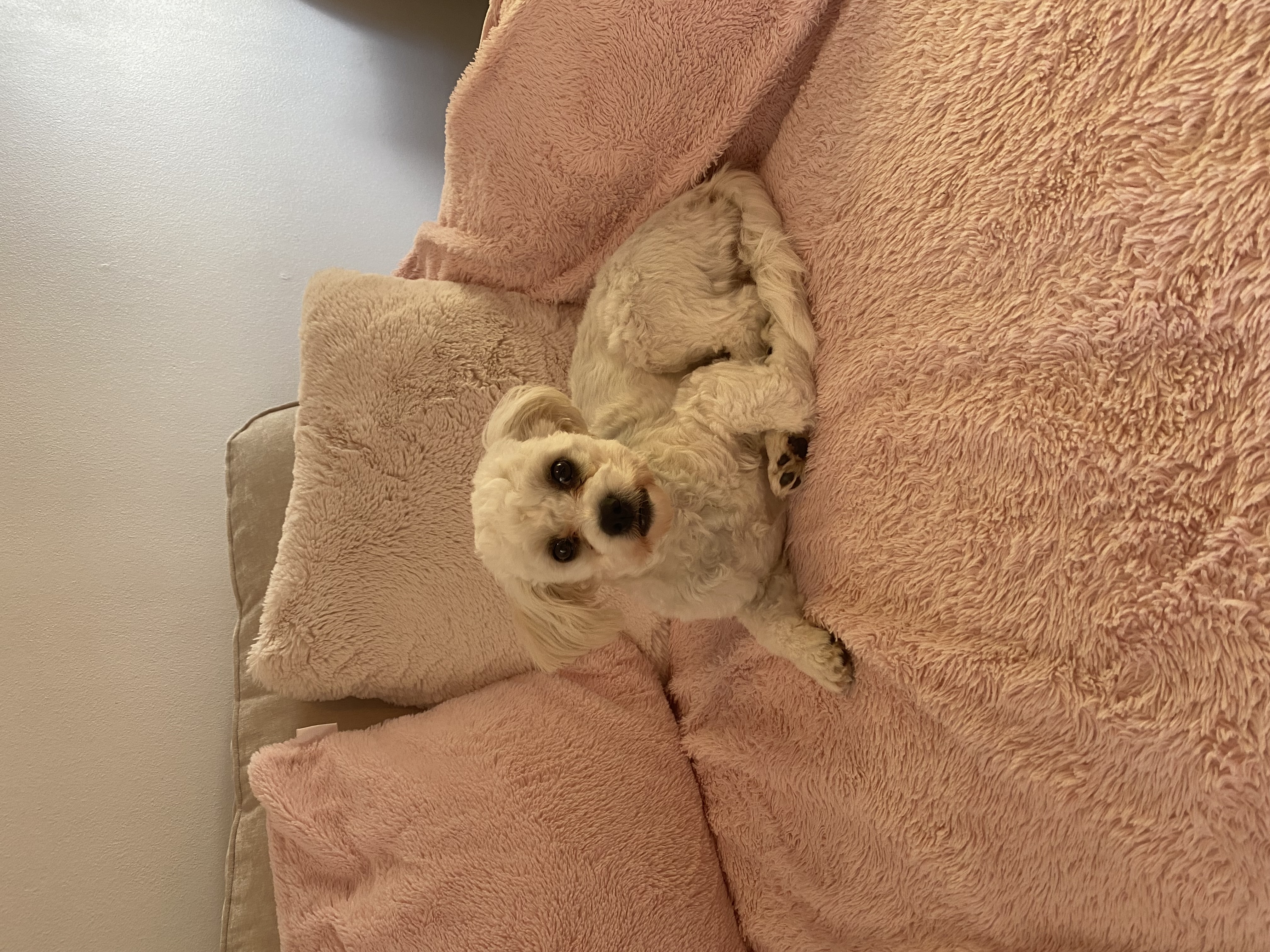 image-8