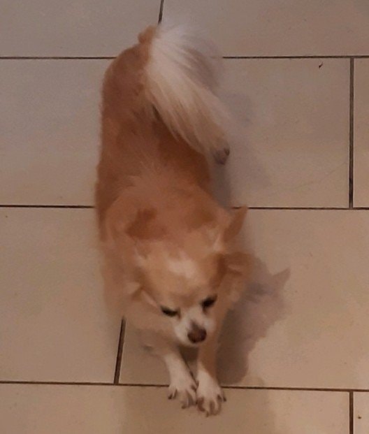 image-13