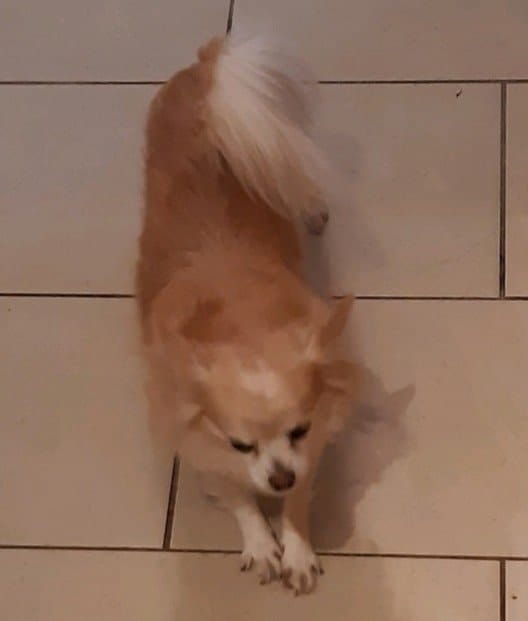 image-13
