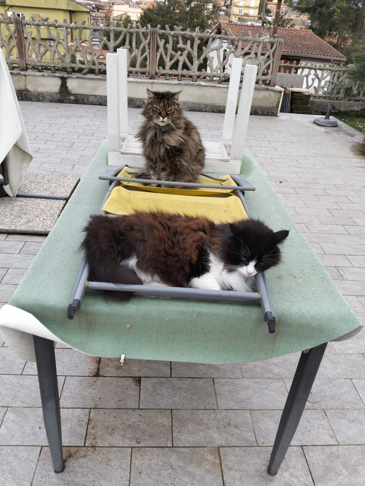 image-7