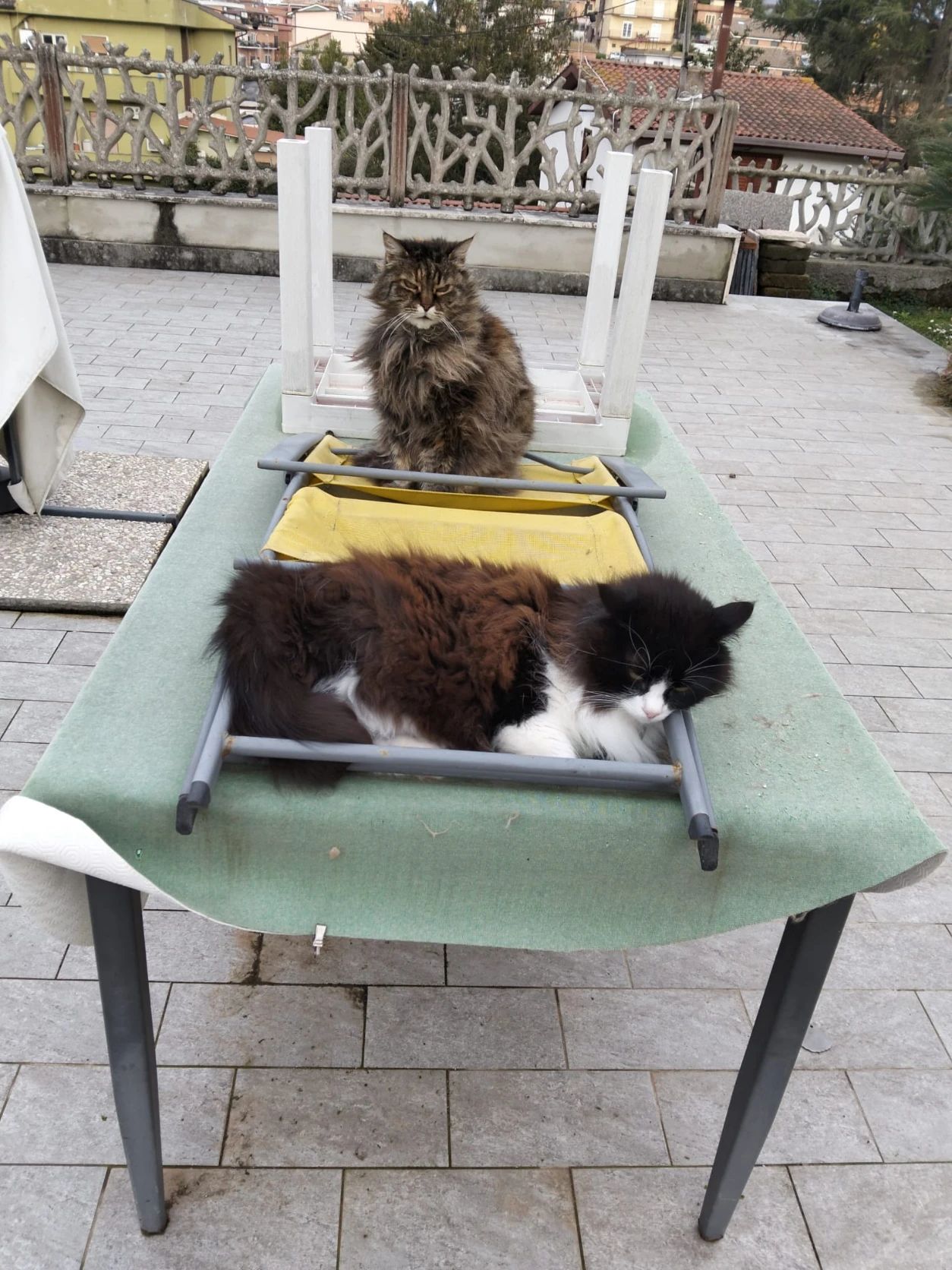 image-7
