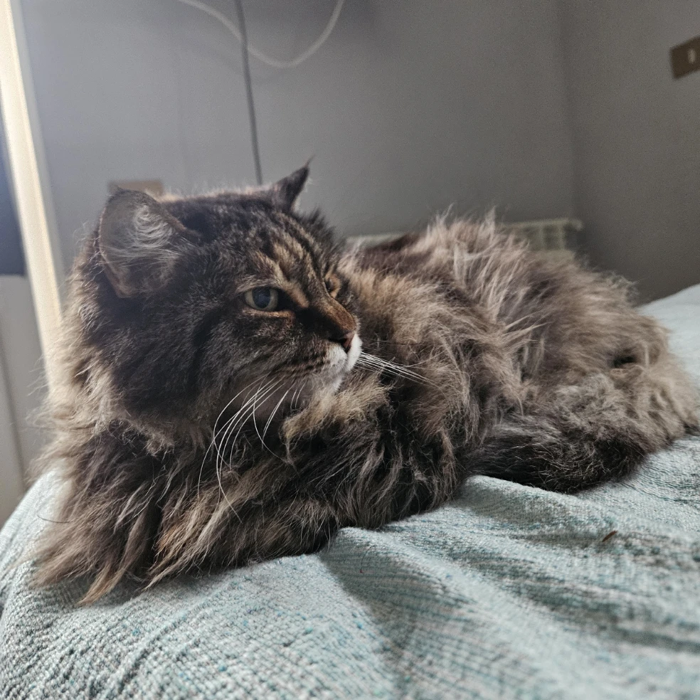 milly