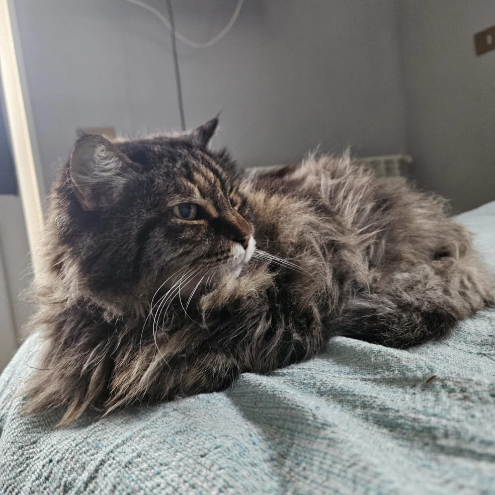 milly