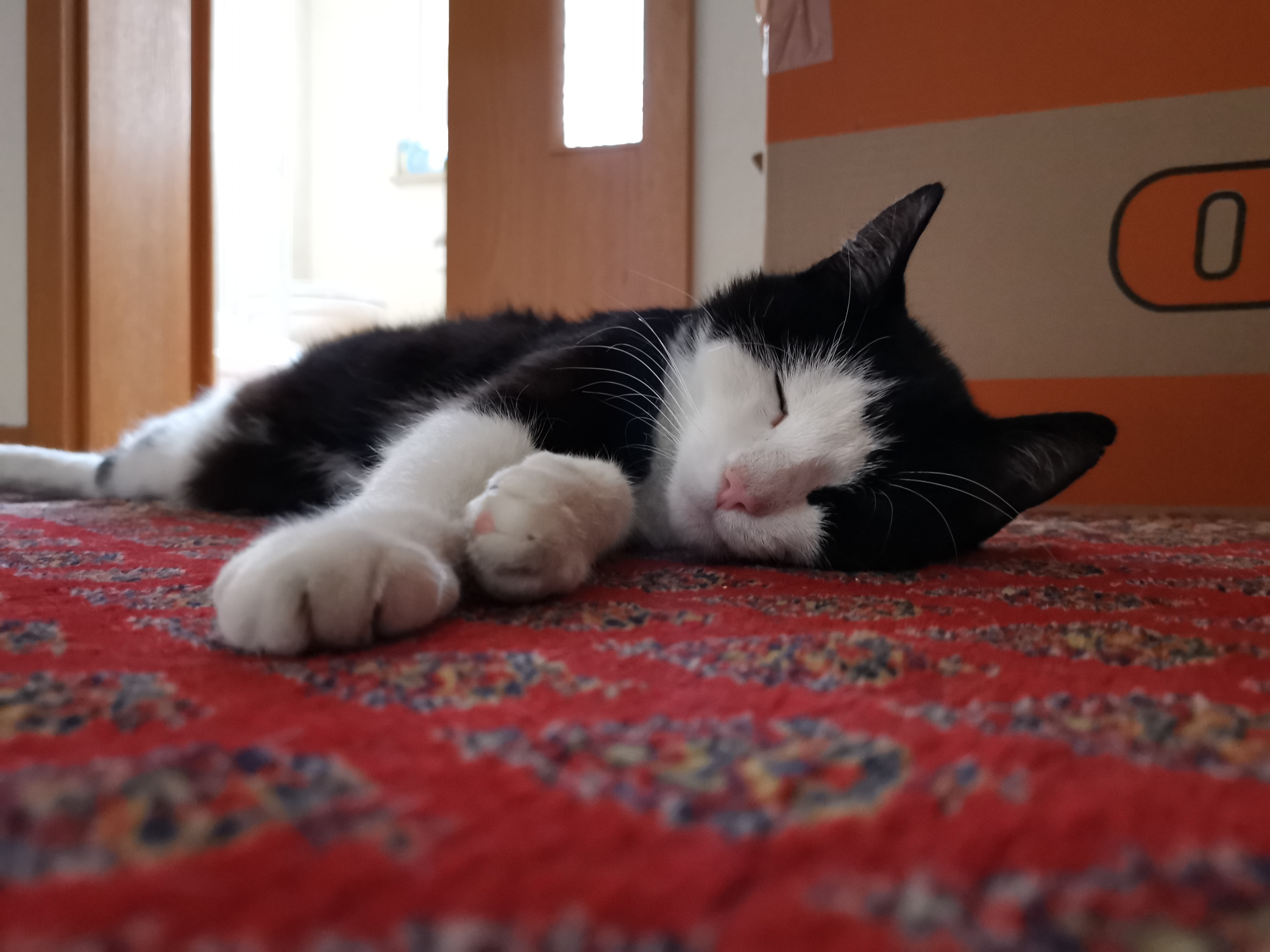 image-8