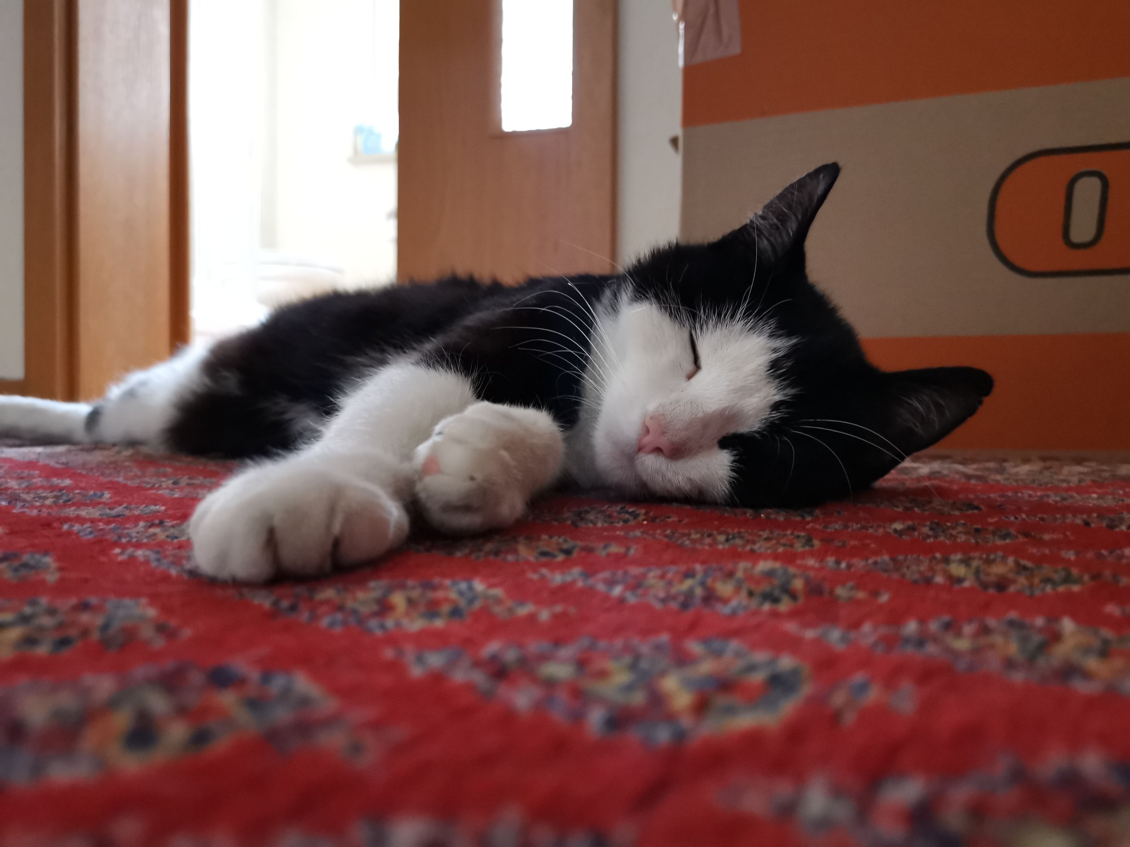 image-8