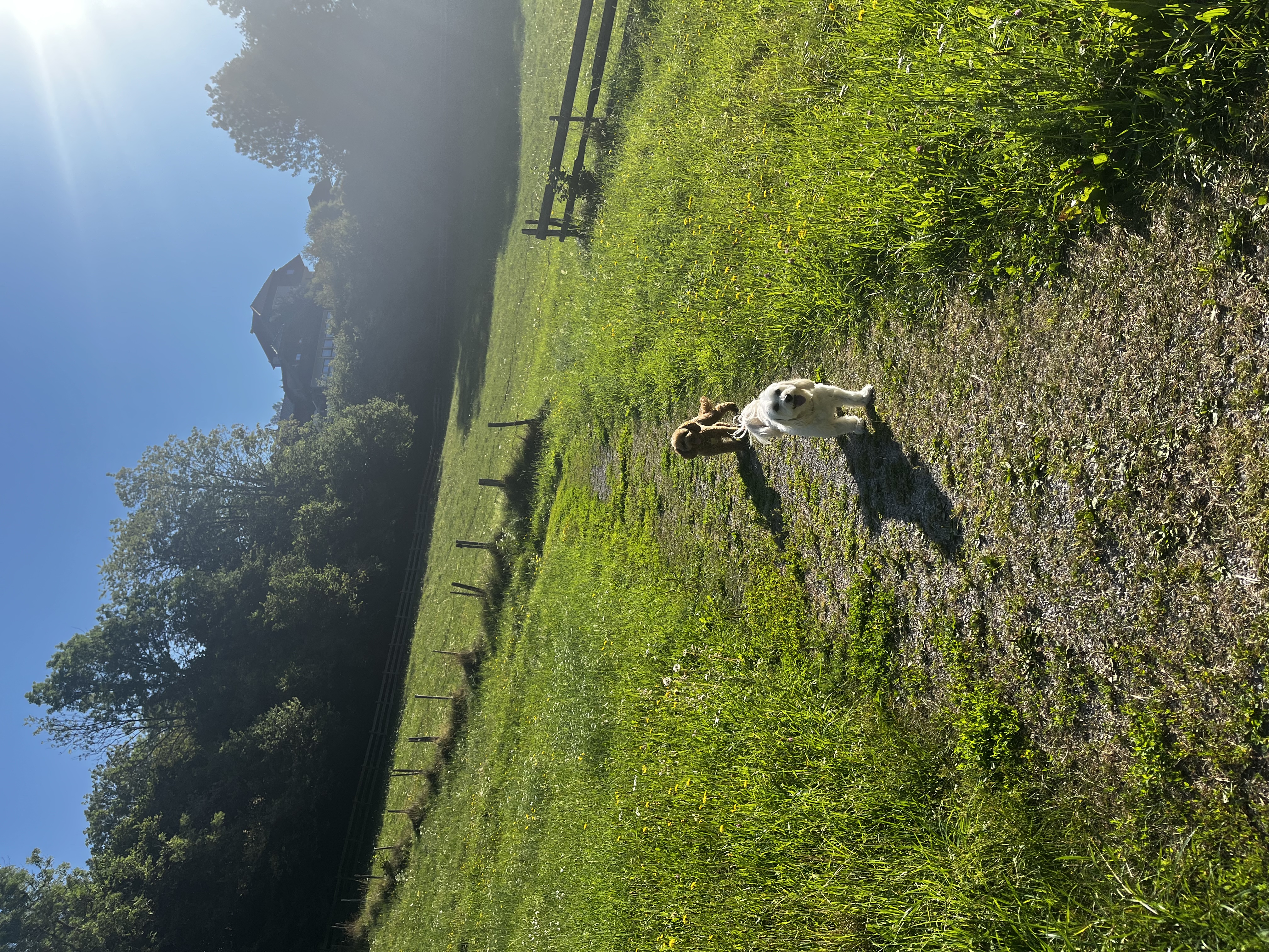 image-6
