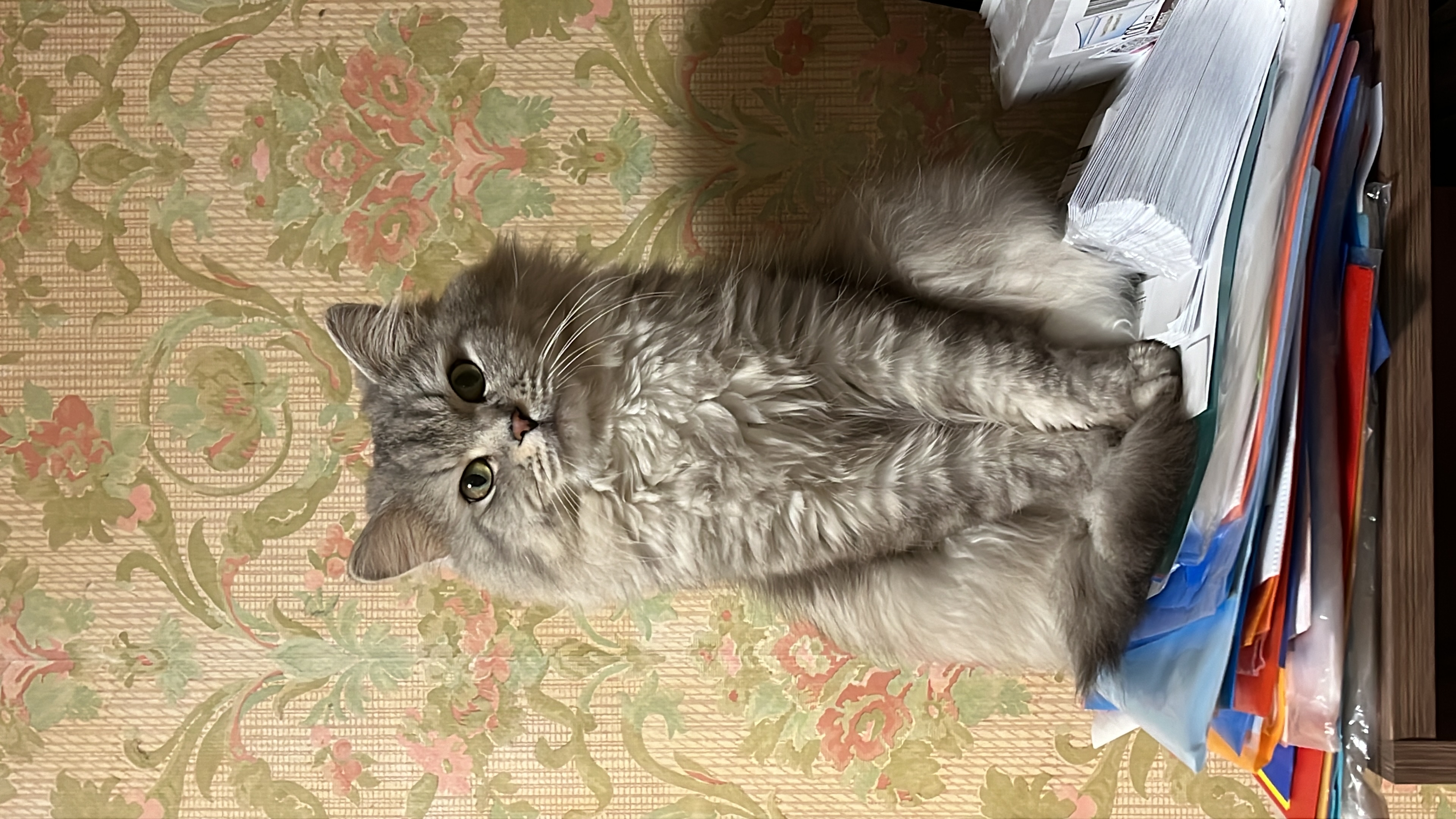 image-6