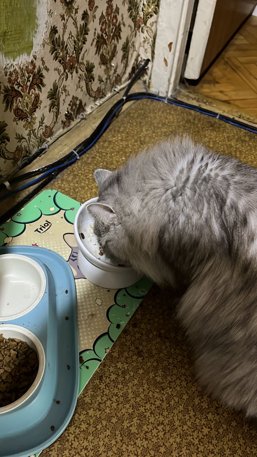 image-8