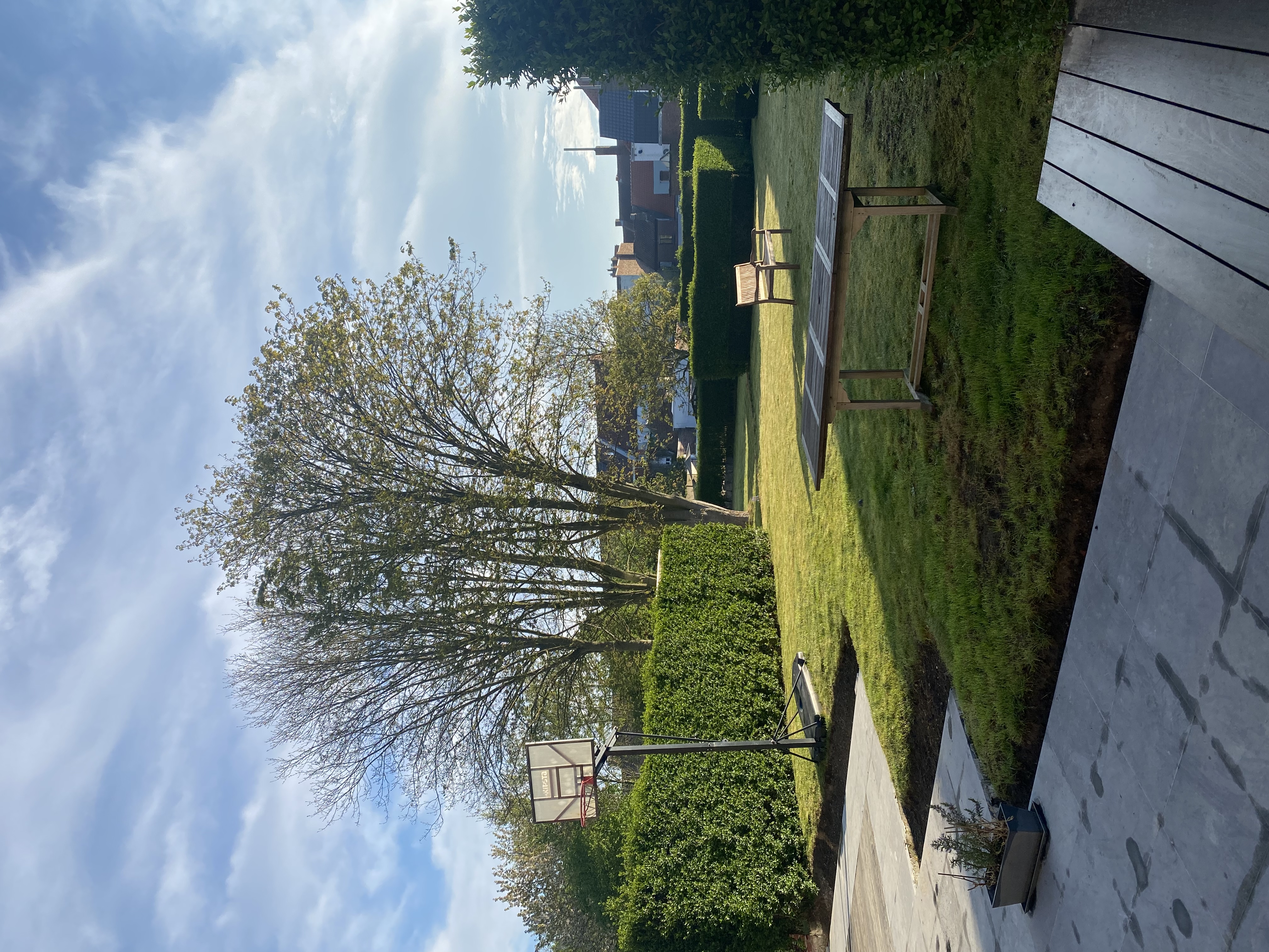 image-42