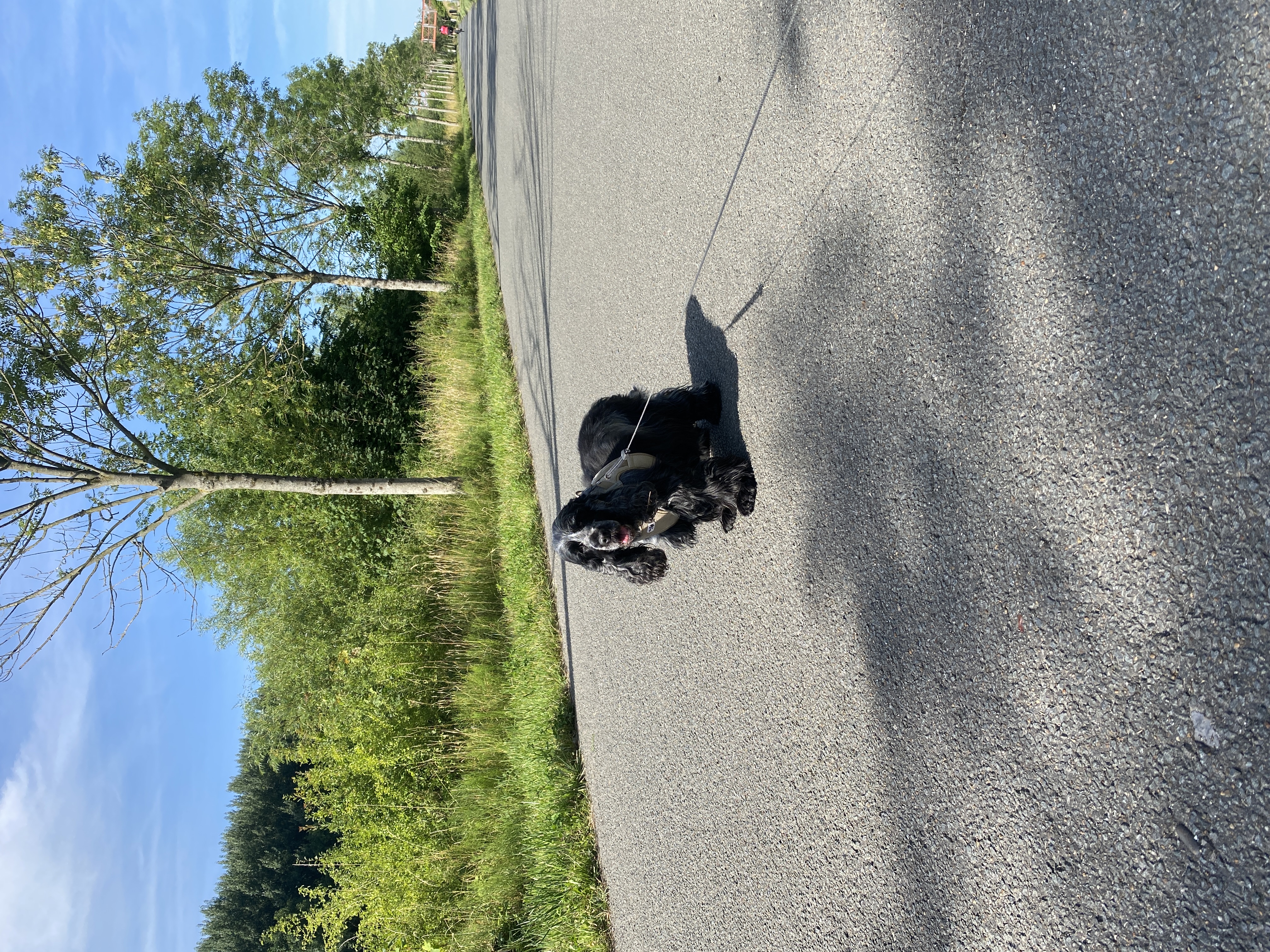 image-28